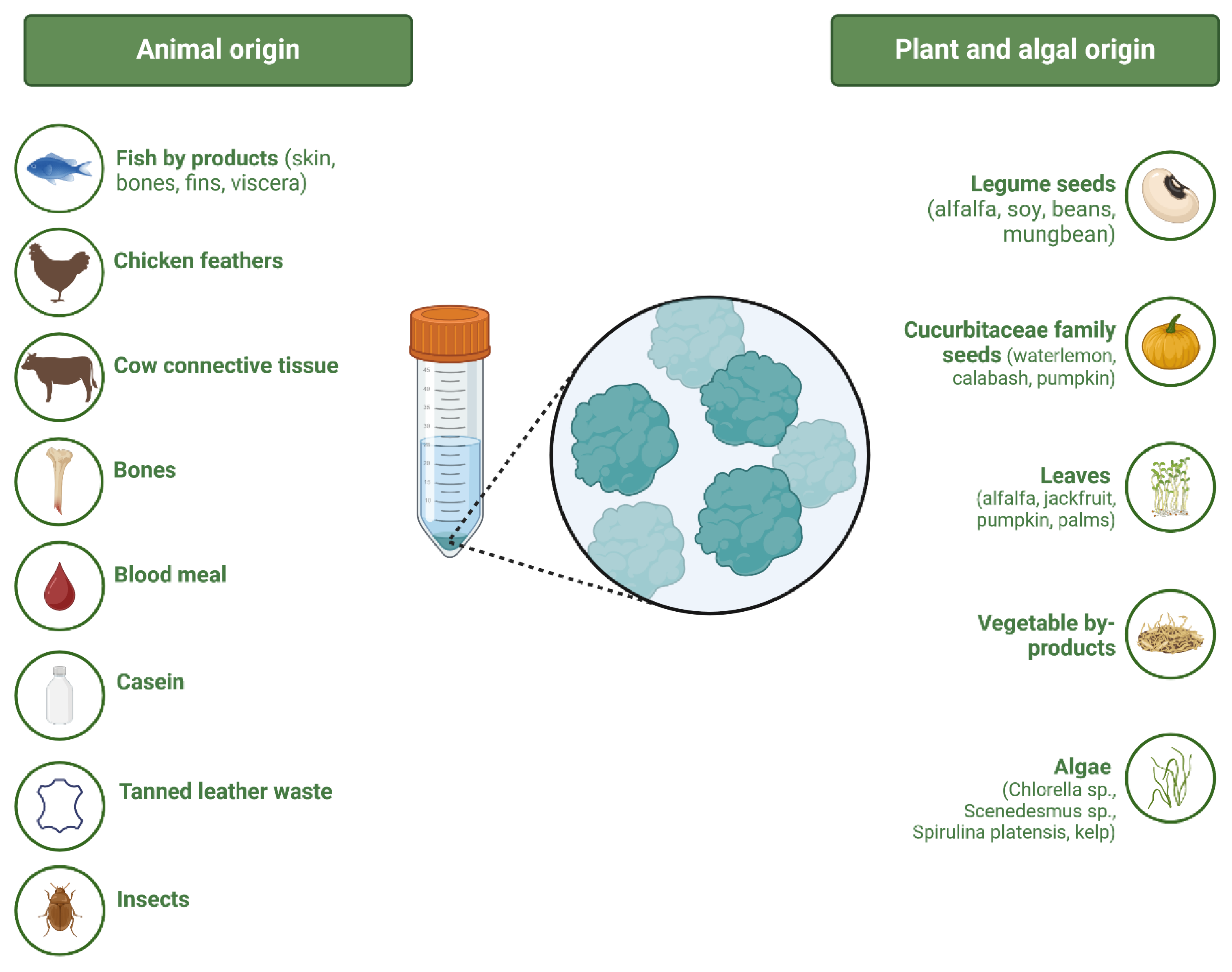 Horticulturae 10 01041 g002