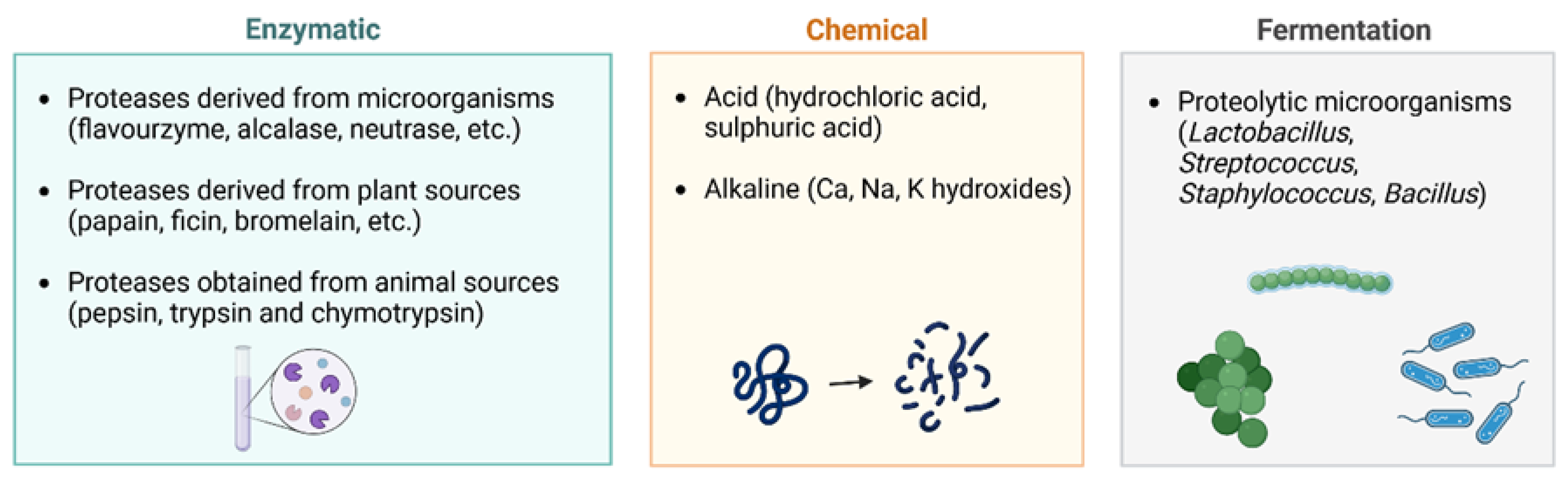 Horticulturae 10 01041 g003
