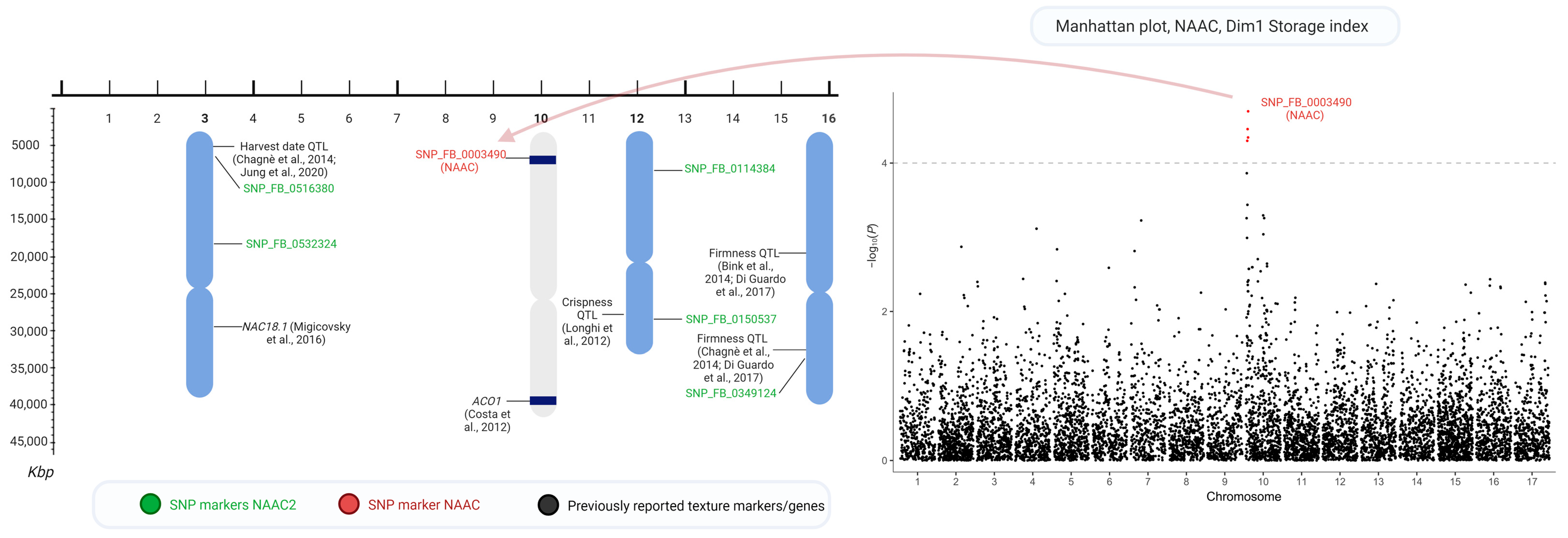 Horticulturae 10 01049 g001