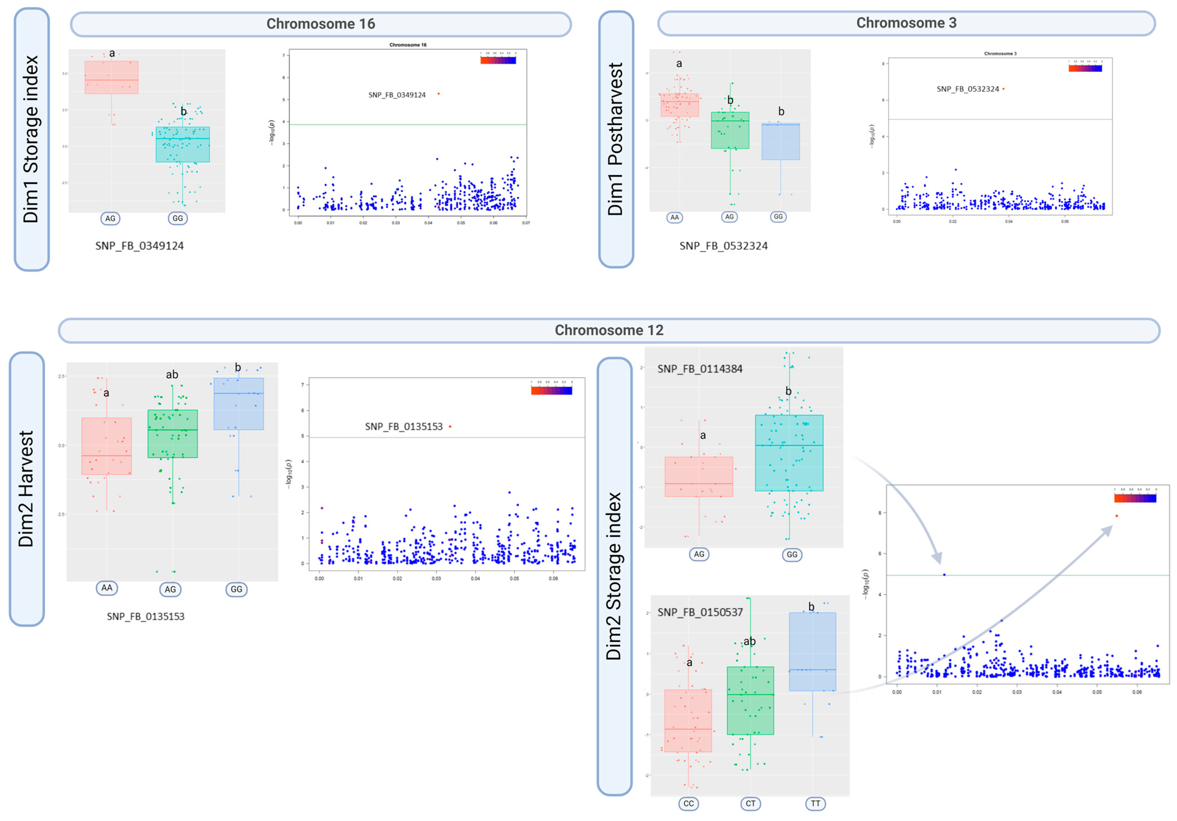 Horticulturae 10 01049 g004