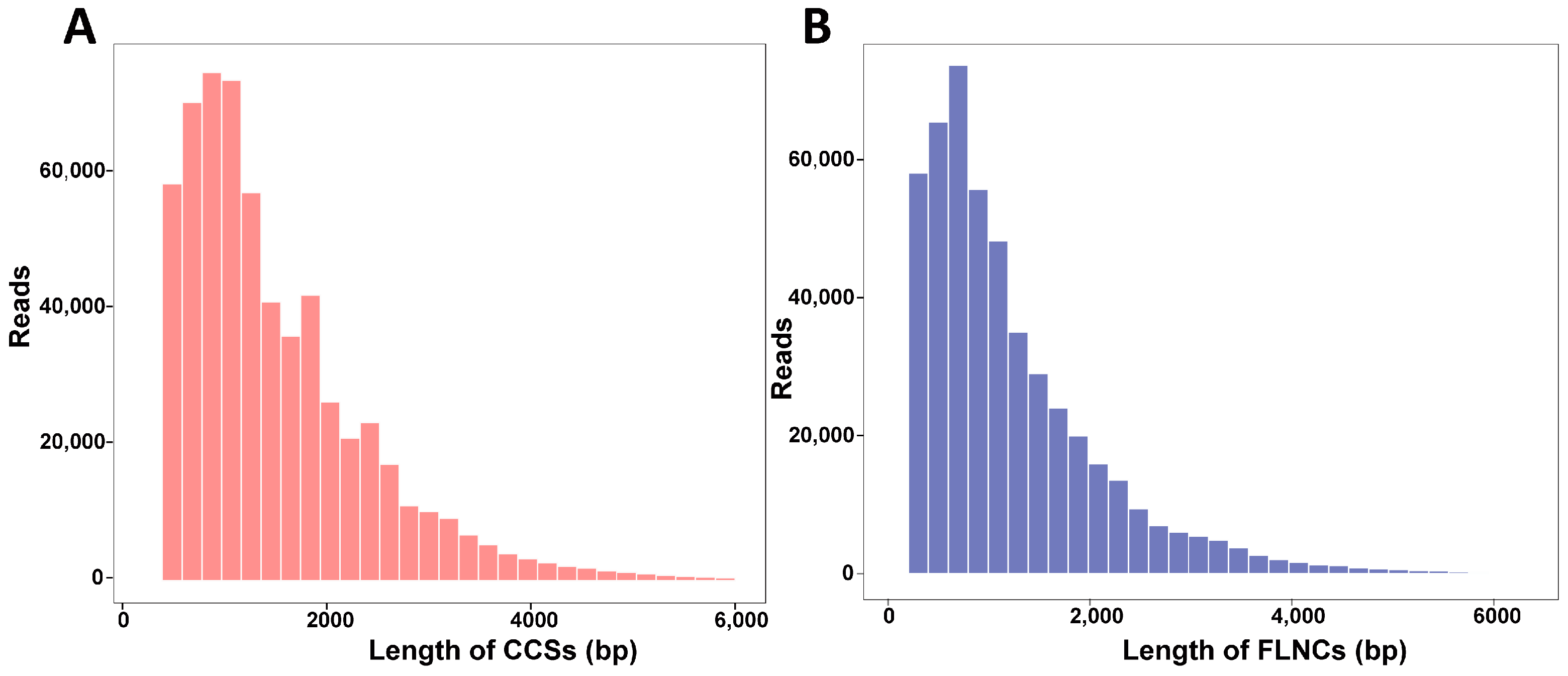 Horticulturae 10 01068 g001