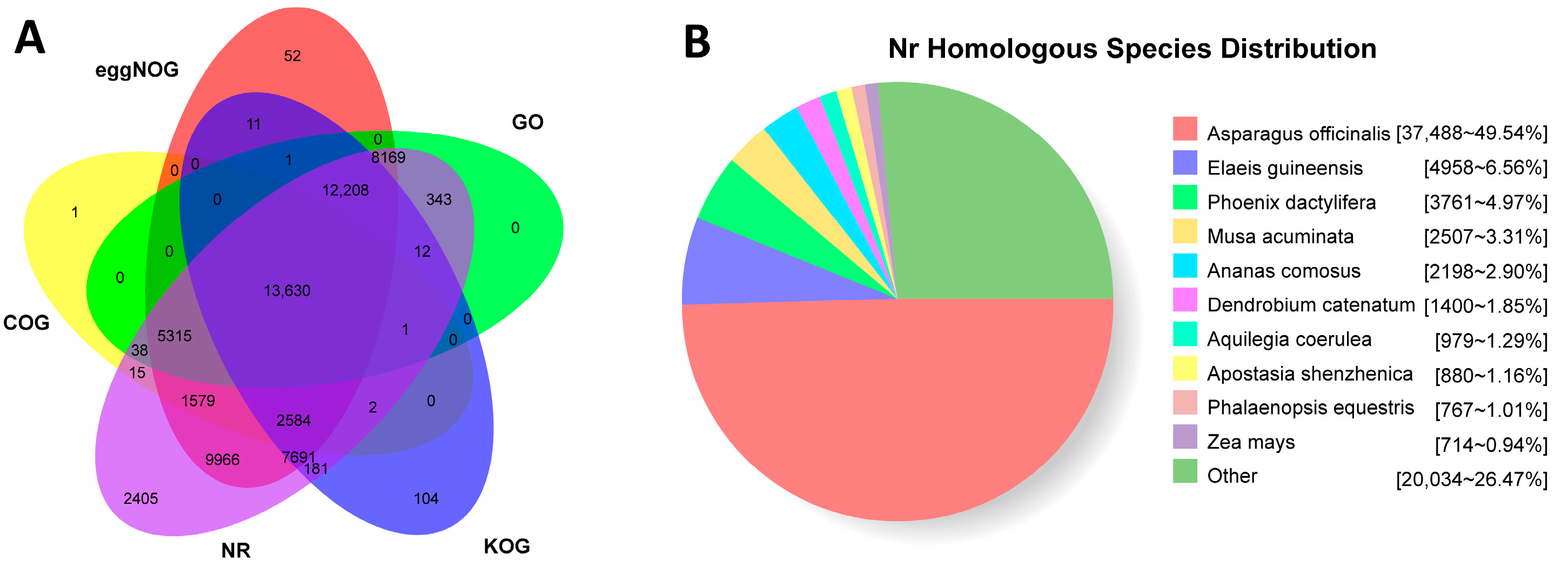 Horticulturae 10 01068 g003