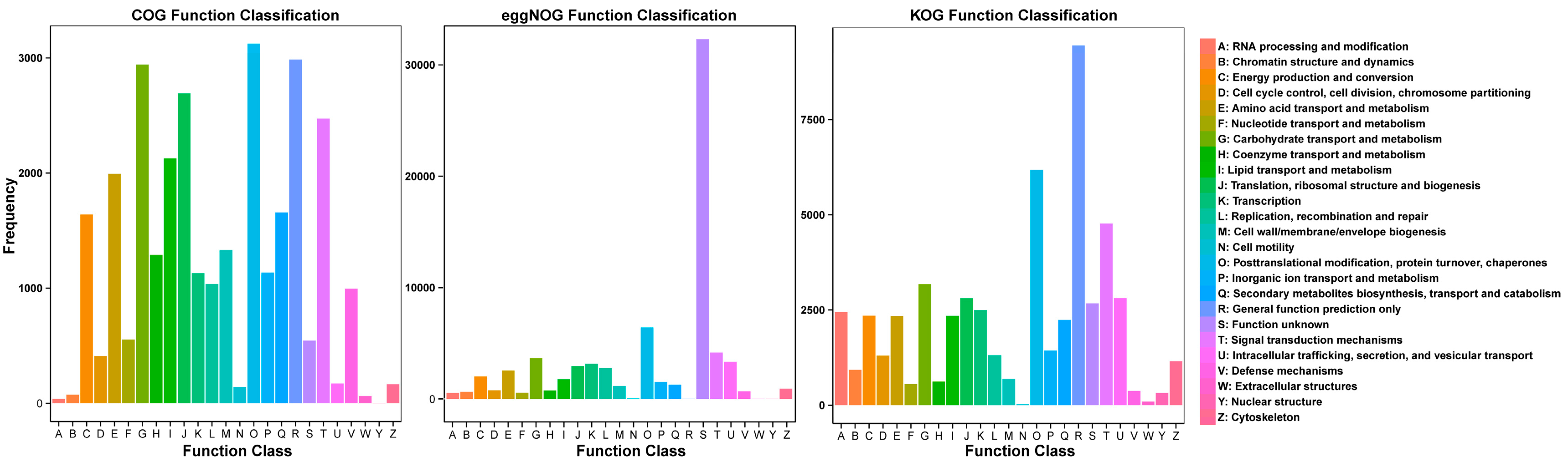 Horticulturae 10 01068 g005