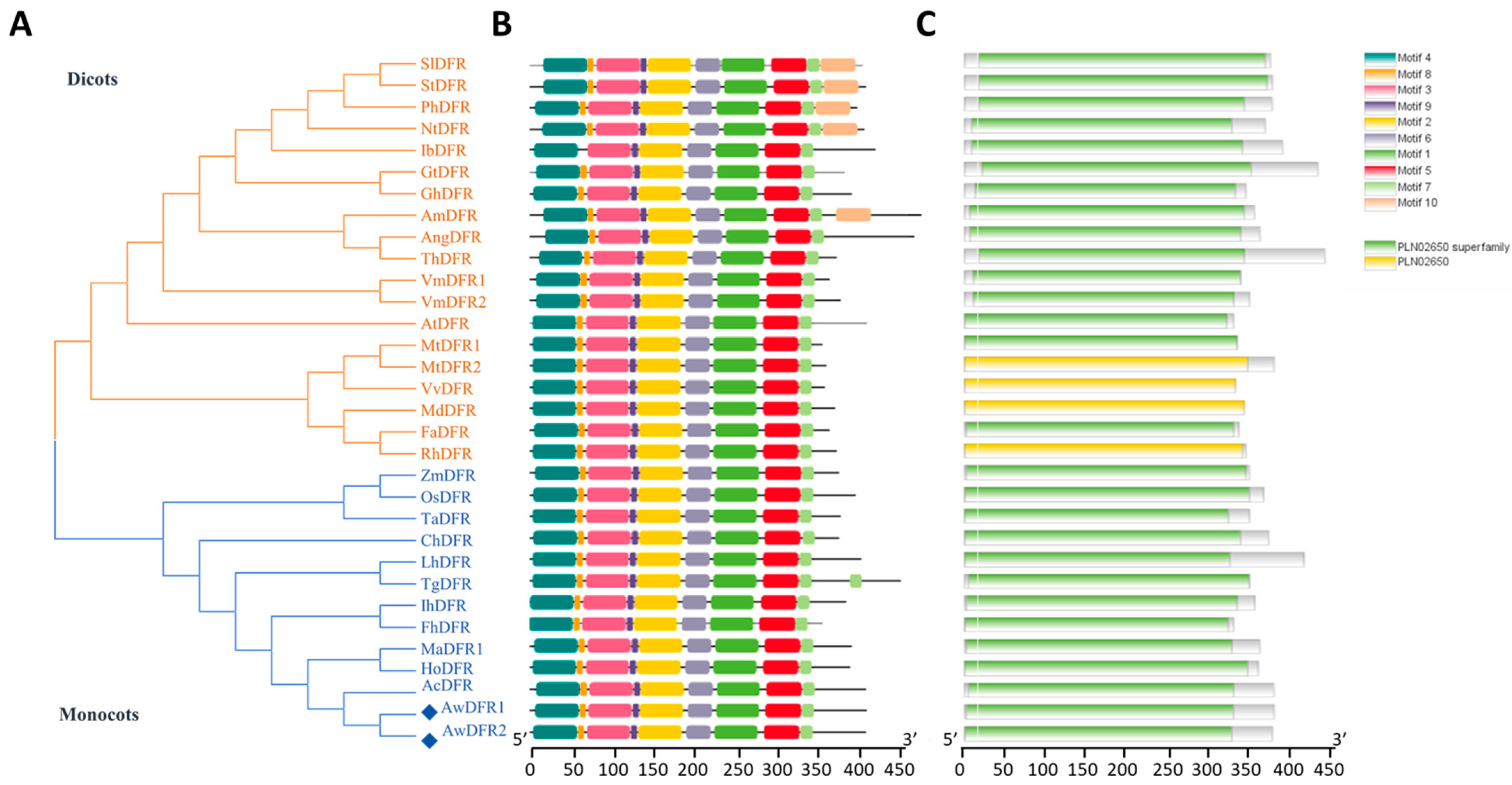 Horticulturae 10 01068 g007