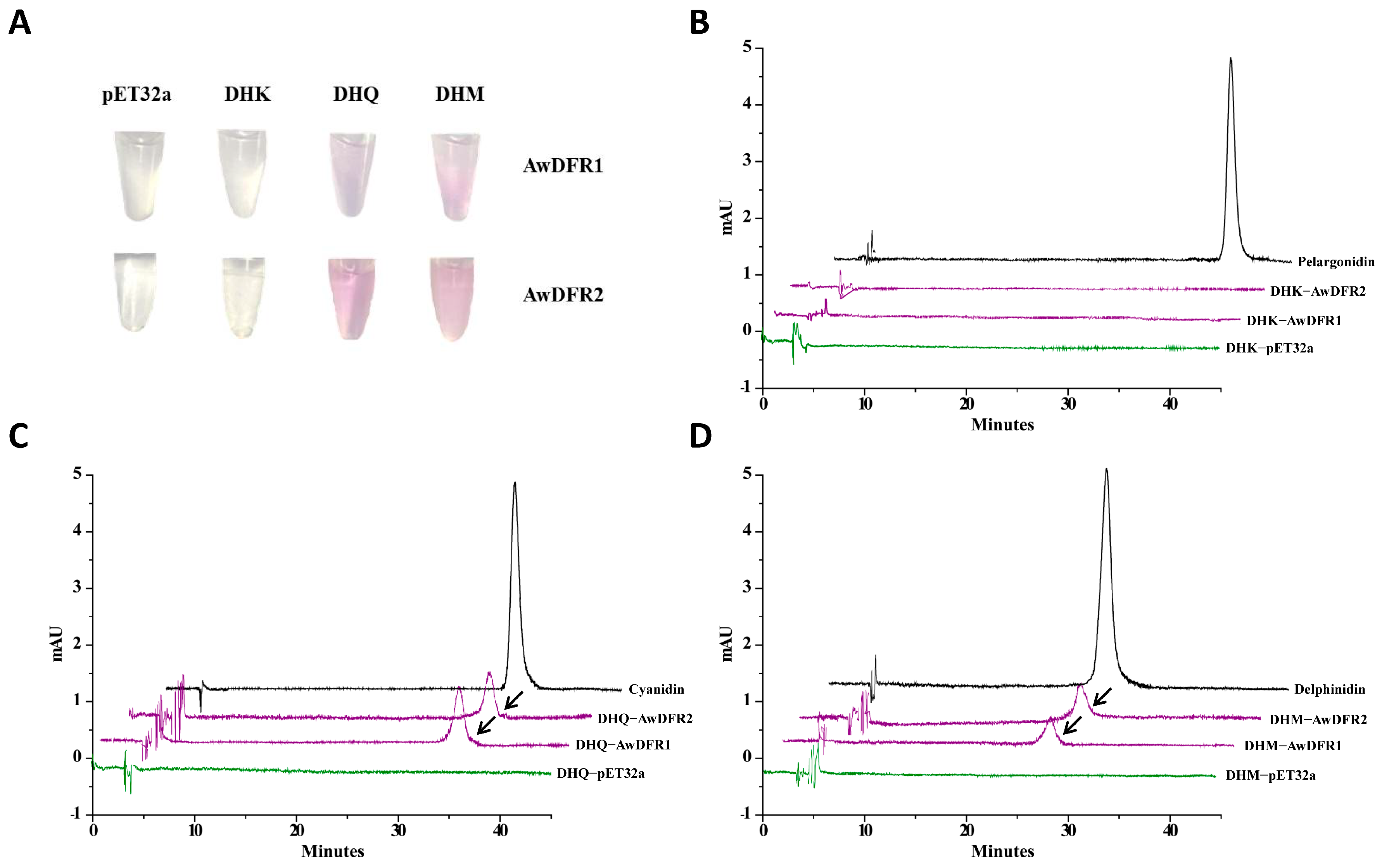 Horticulturae 10 01068 g009