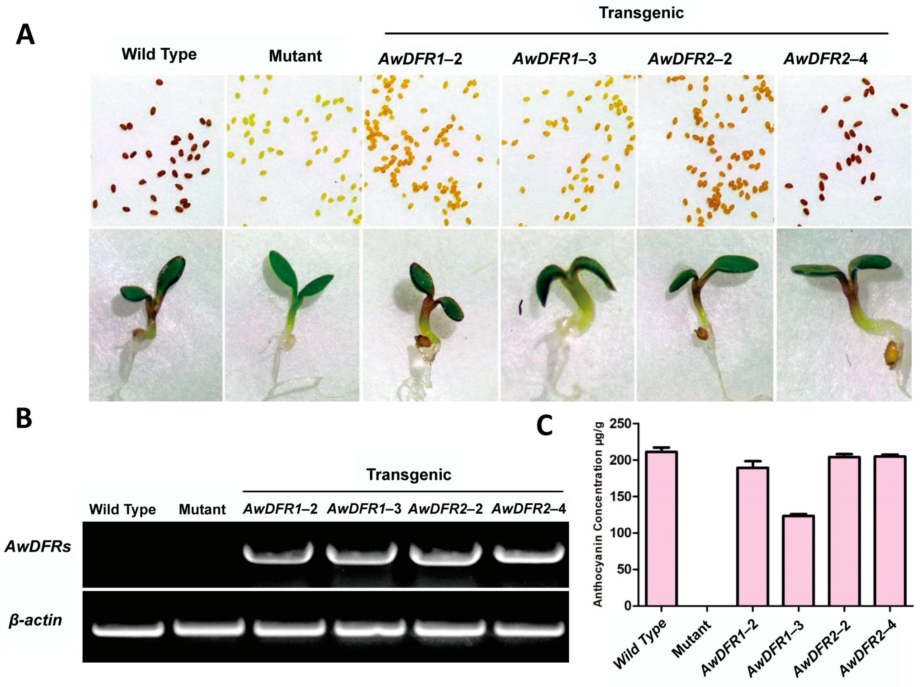 Horticulturae 10 01068 g010
