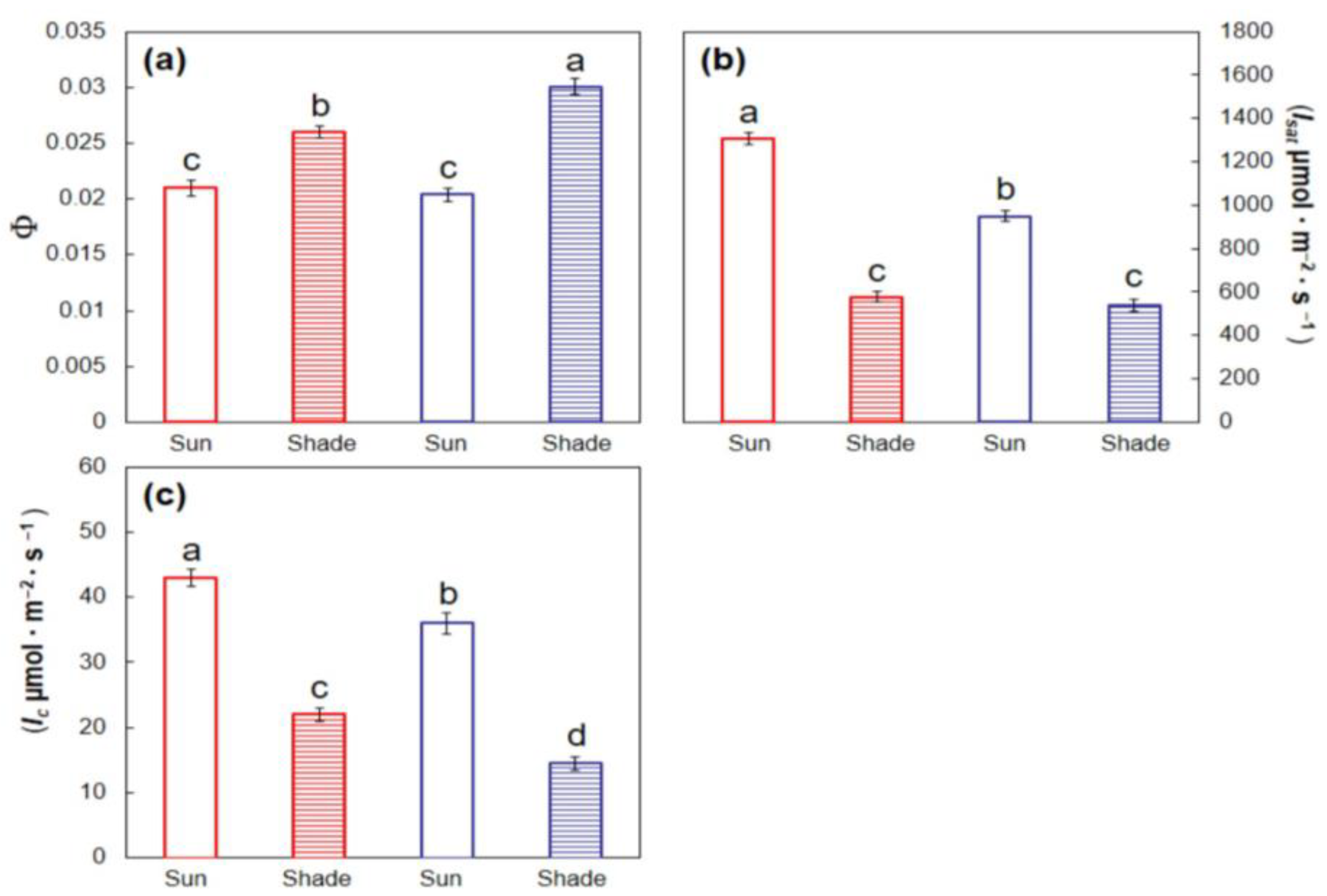 Horticulturae 10 01070 g003
