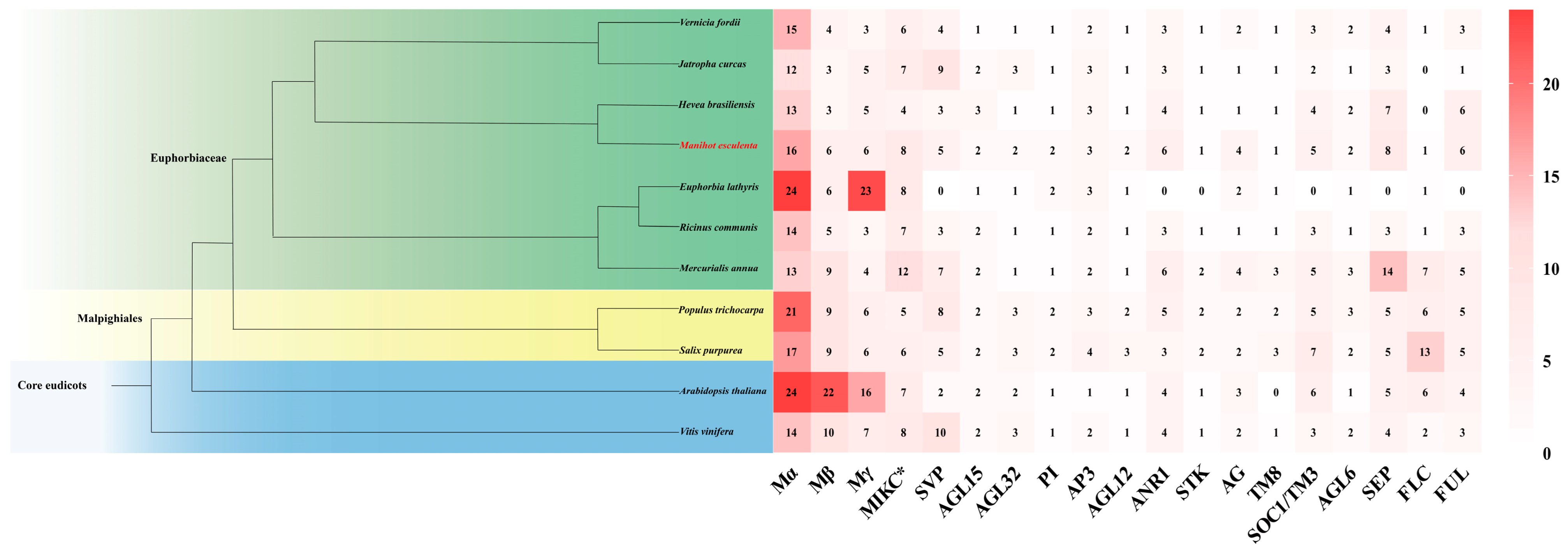 Horticulturae 10 01073 g001