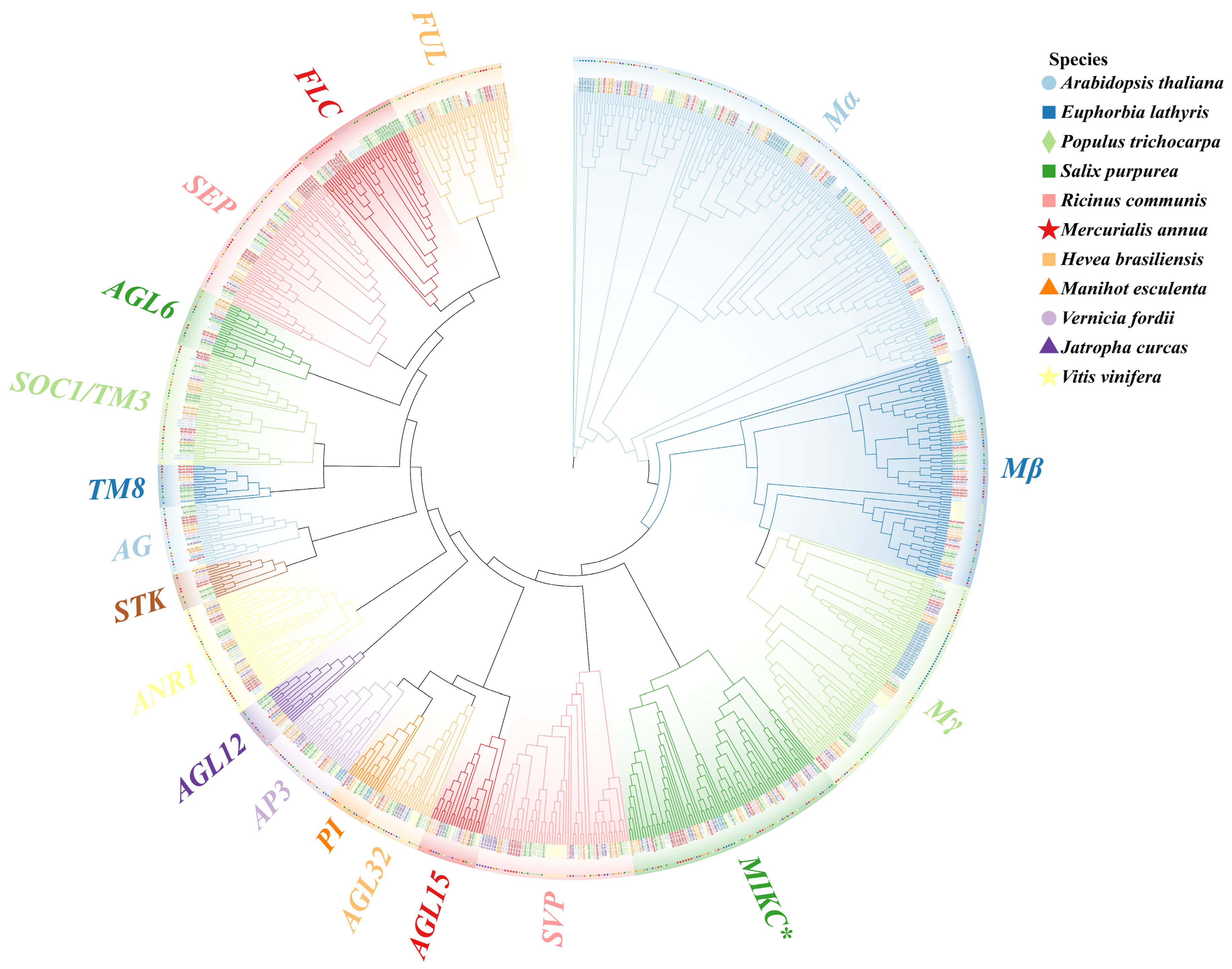 Horticulturae 10 01073 g002