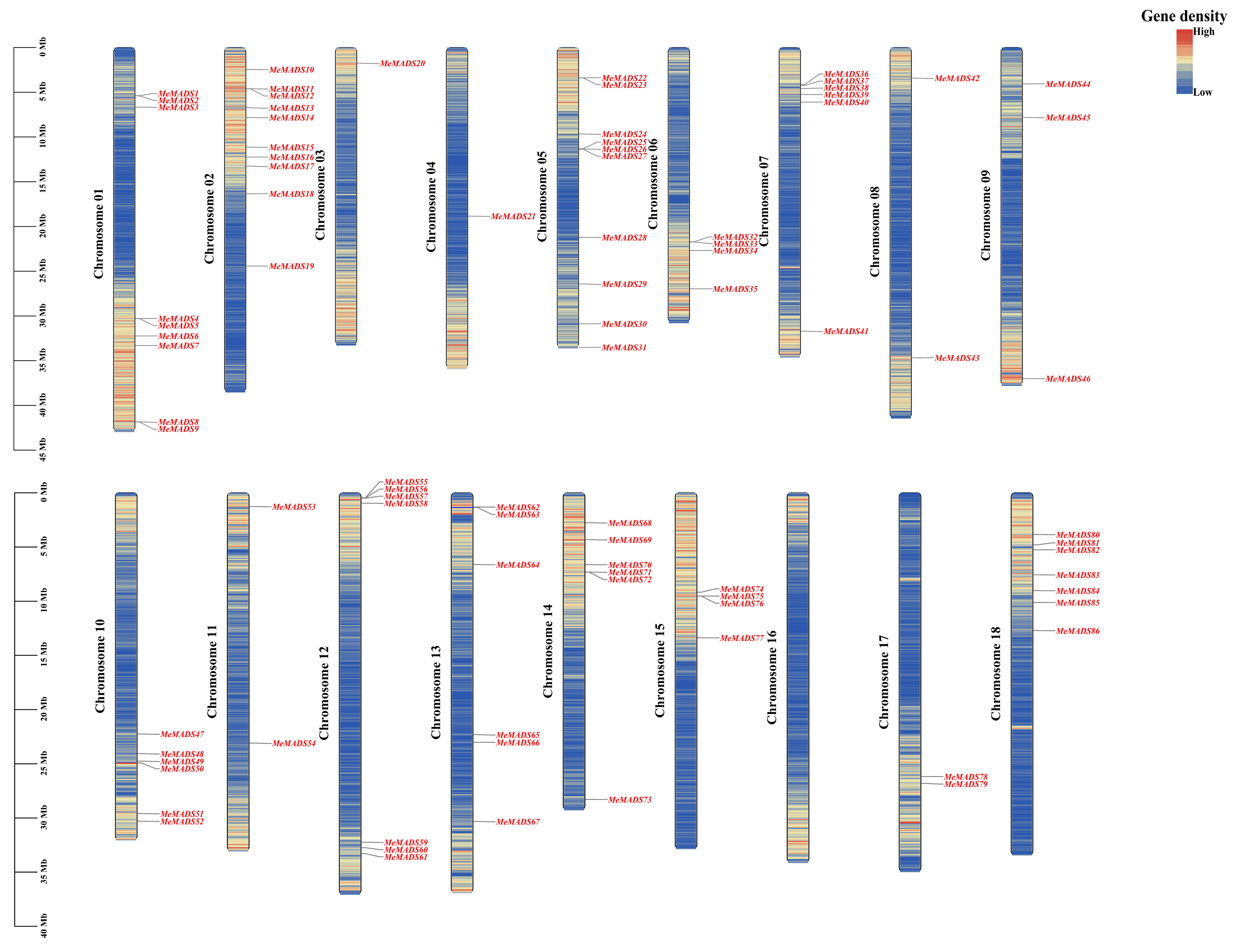 Horticulturae 10 01073 g003