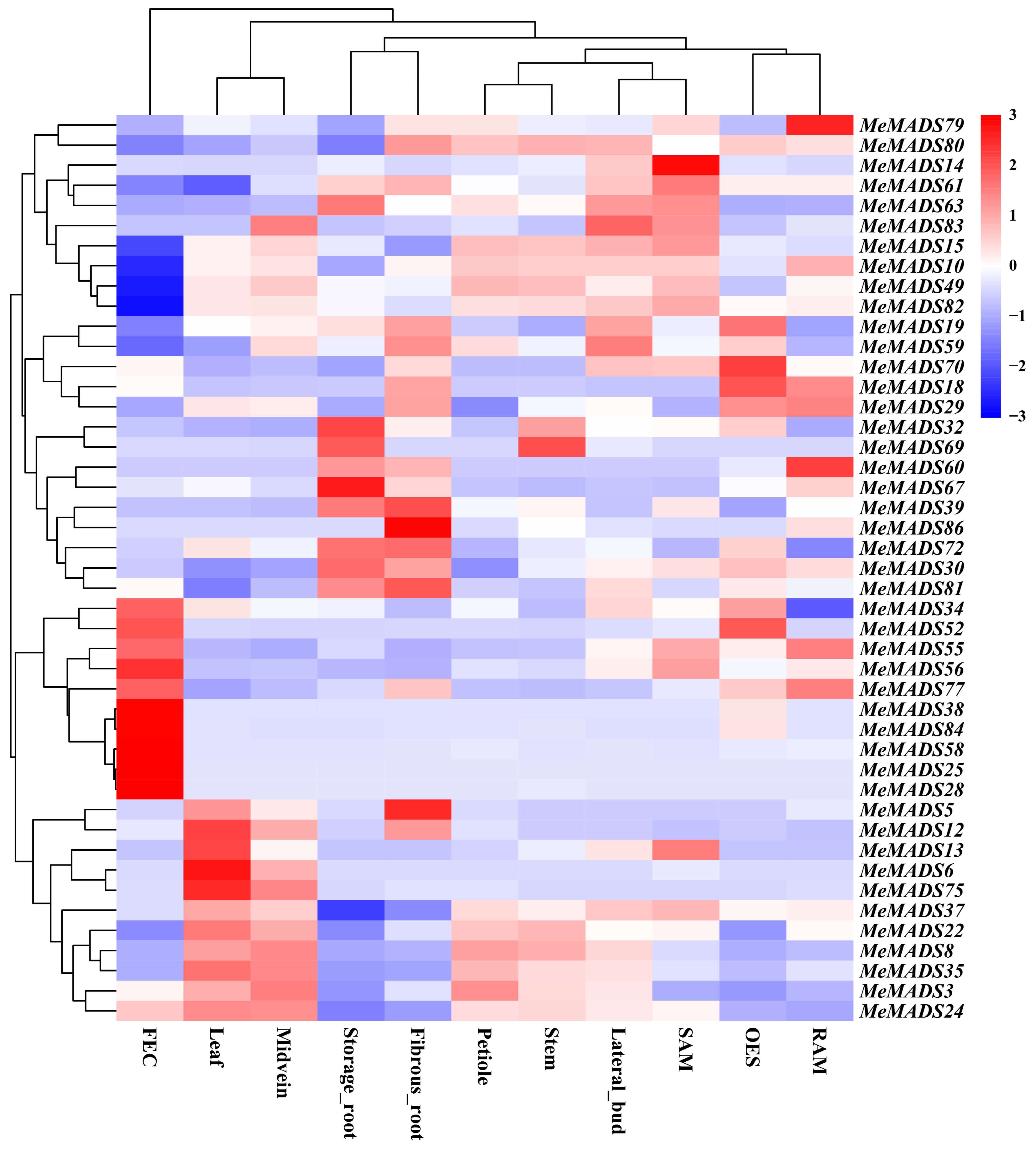 Horticulturae 10 01073 g006