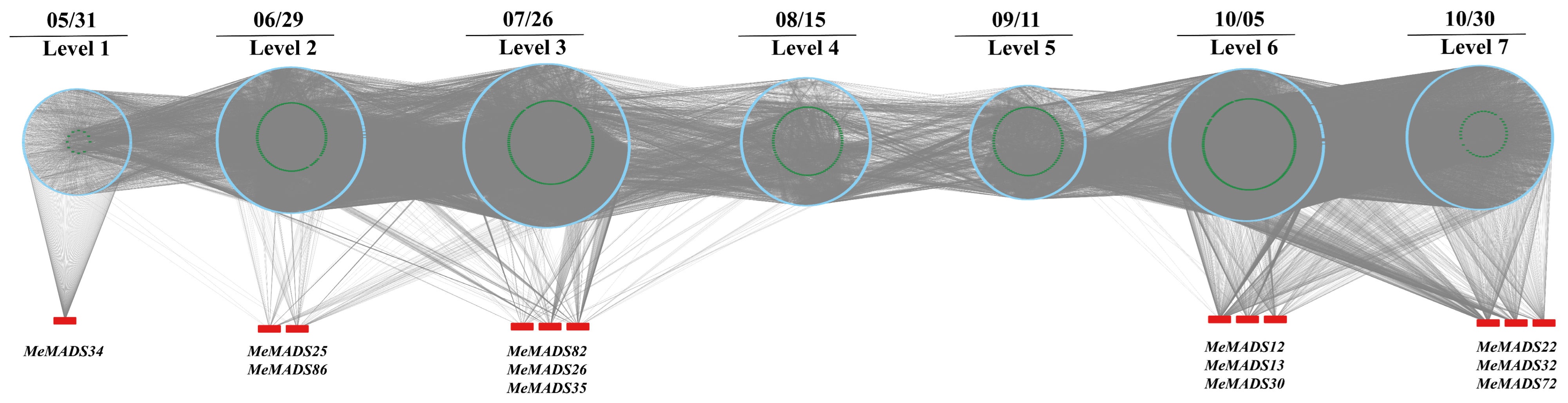Horticulturae 10 01073 g008