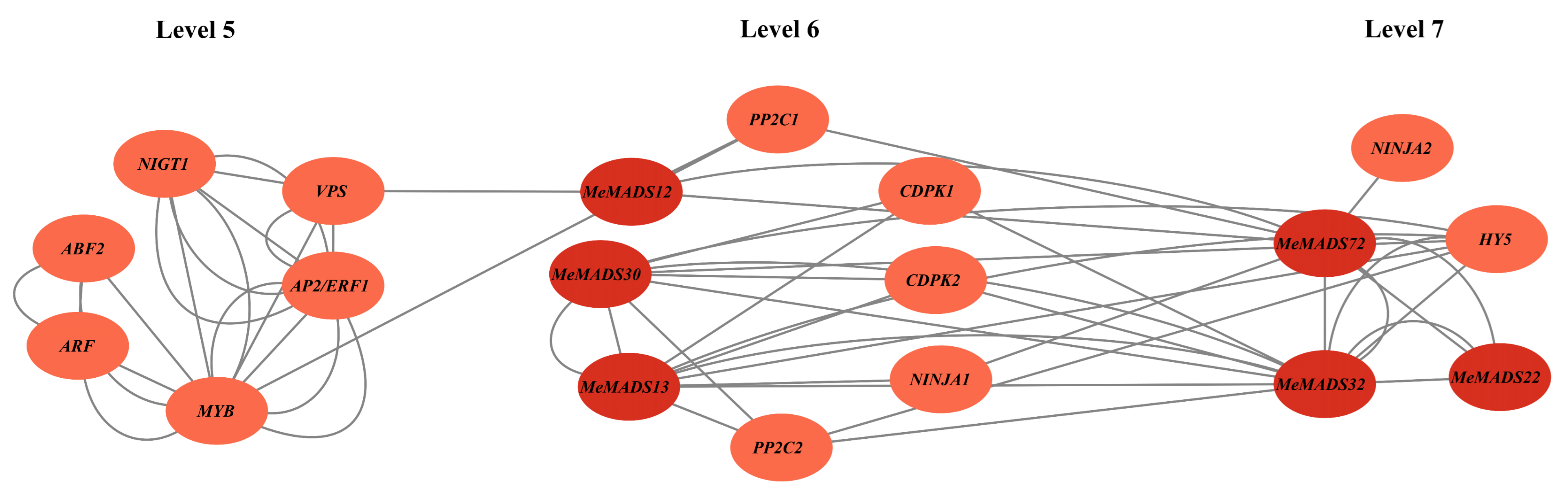 Horticulturae 10 01073 g009