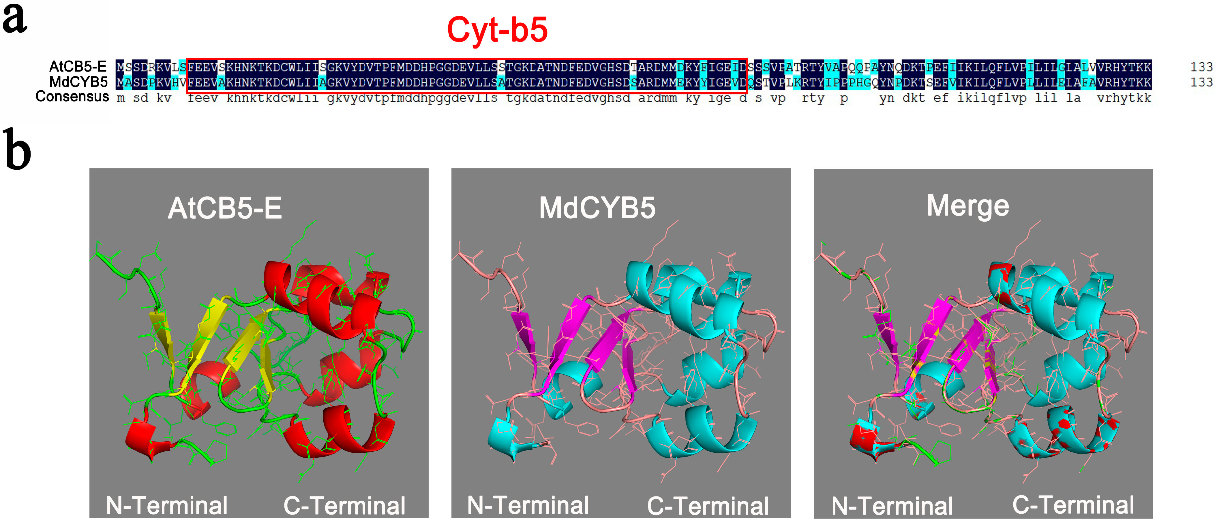 Horticulturae 10 01075 g001