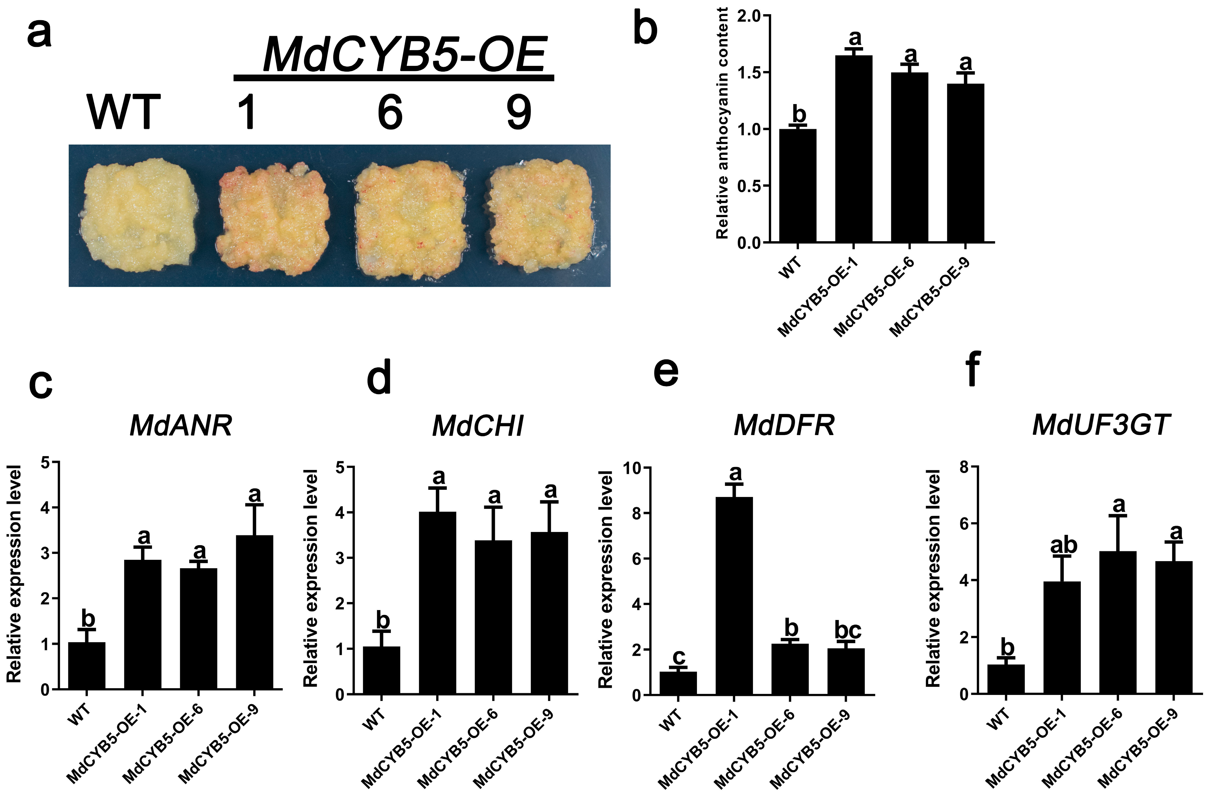 Horticulturae 10 01075 g004