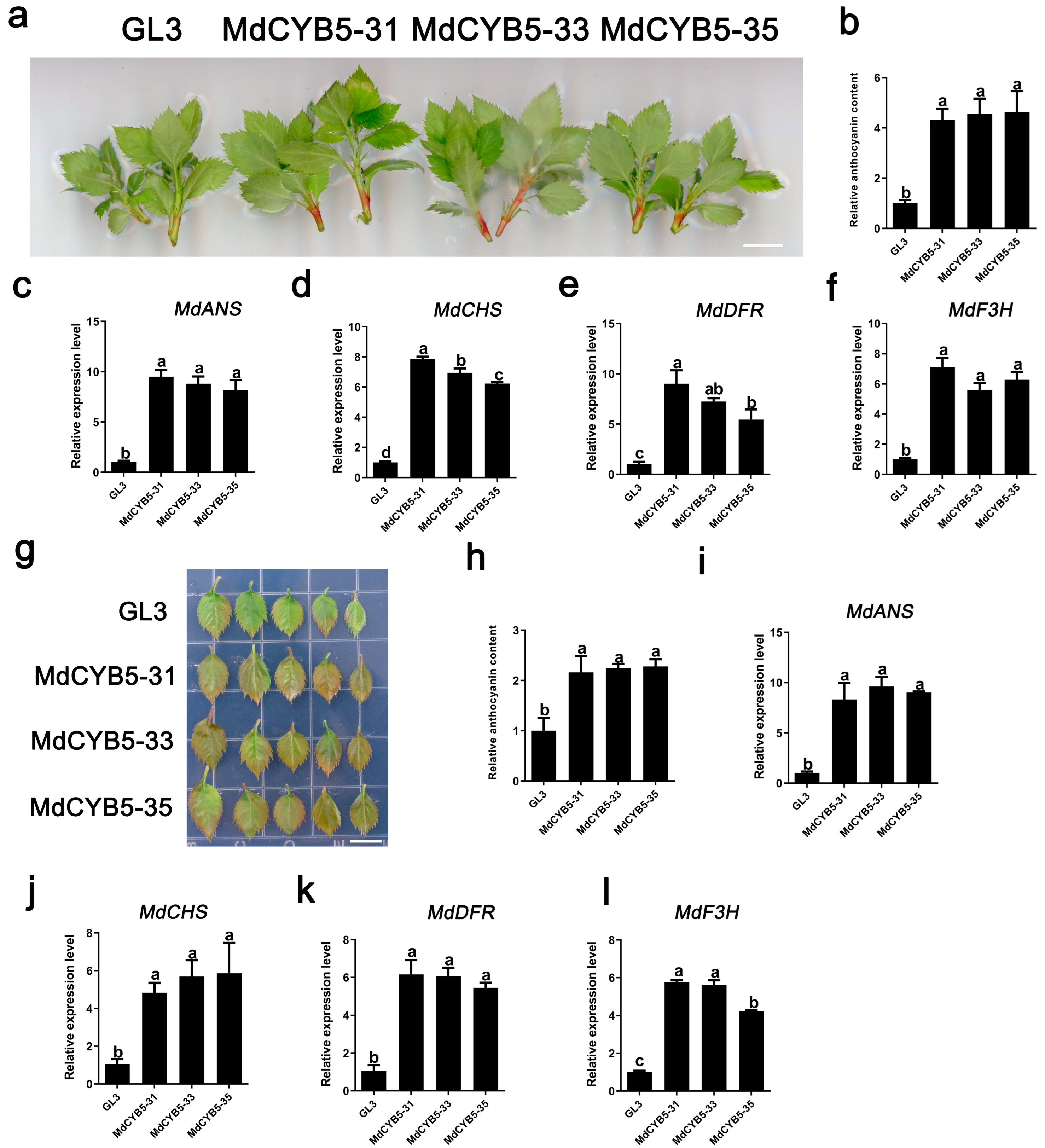 Horticulturae 10 01075 g005