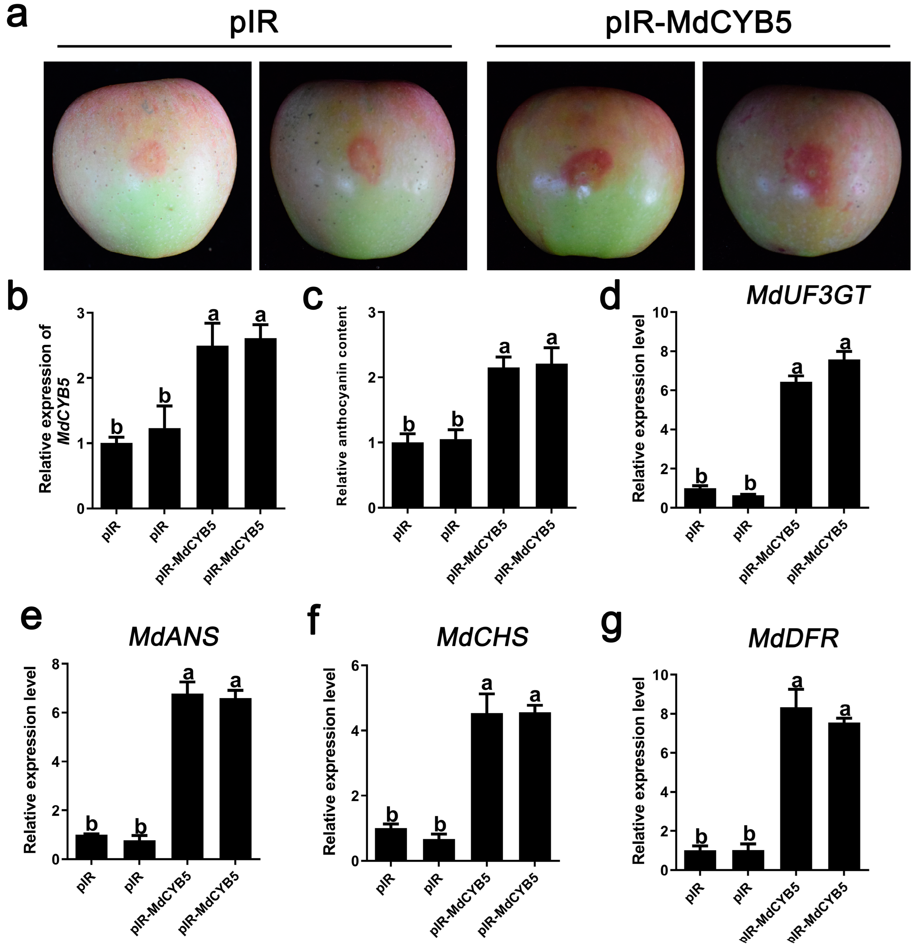 Horticulturae 10 01075 g006