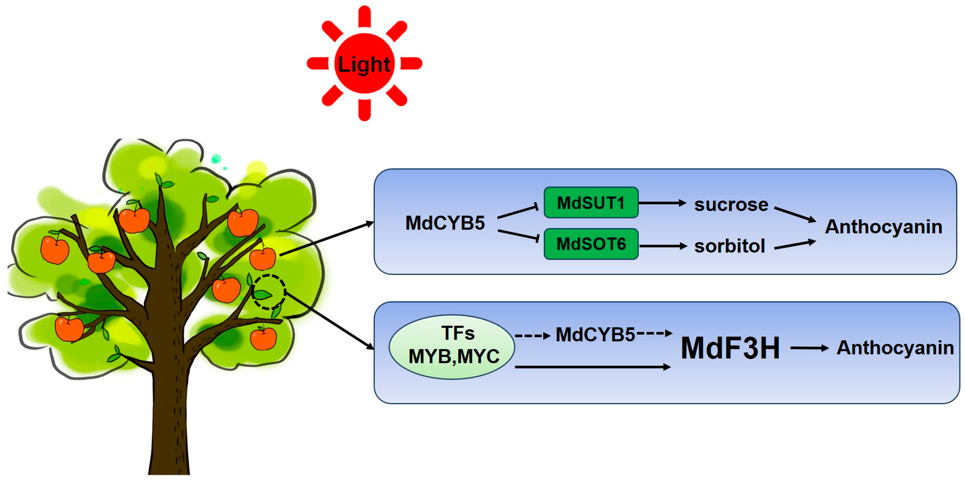 Horticulturae 10 01075 g007