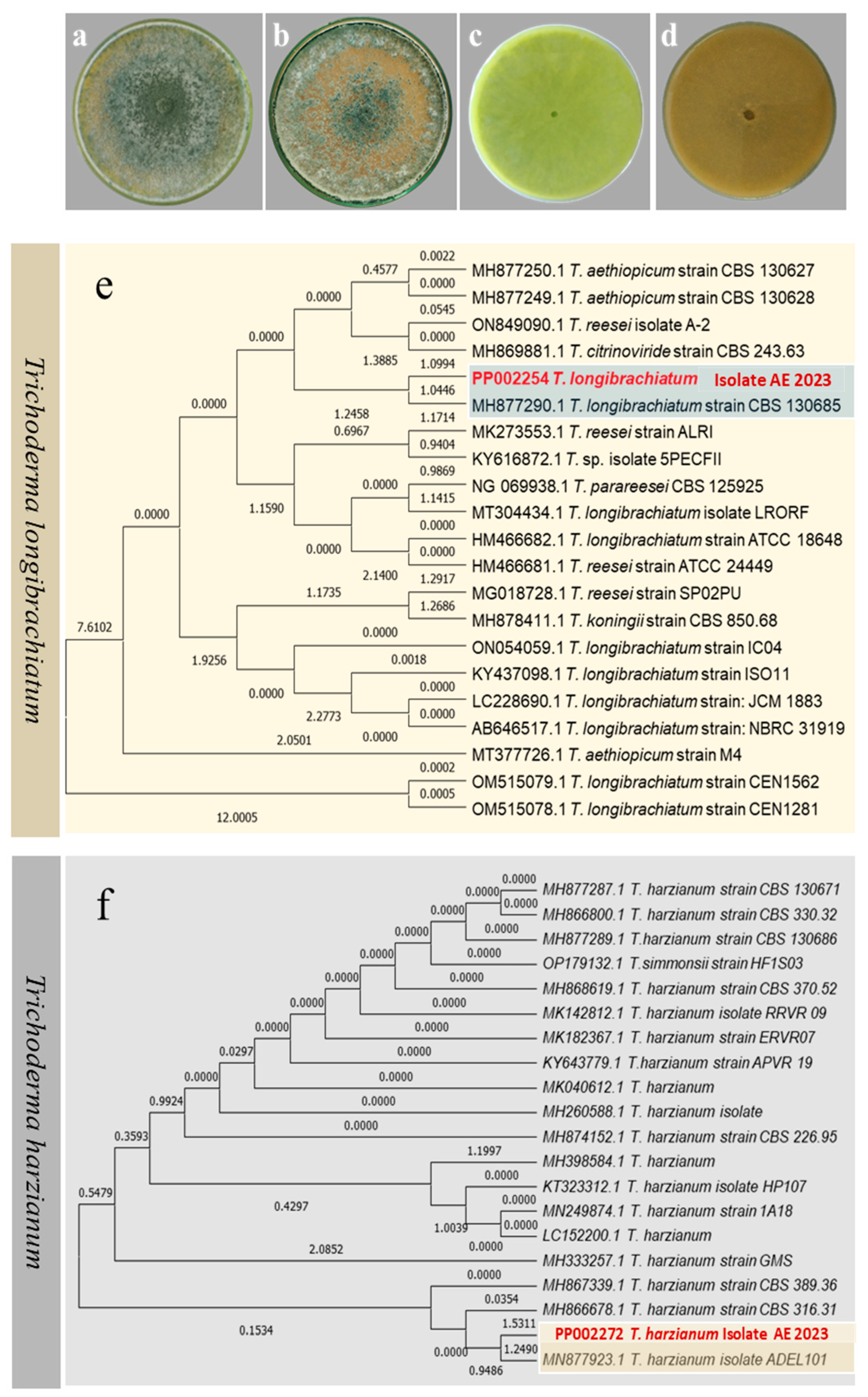 Horticulturae 10 01076 g001