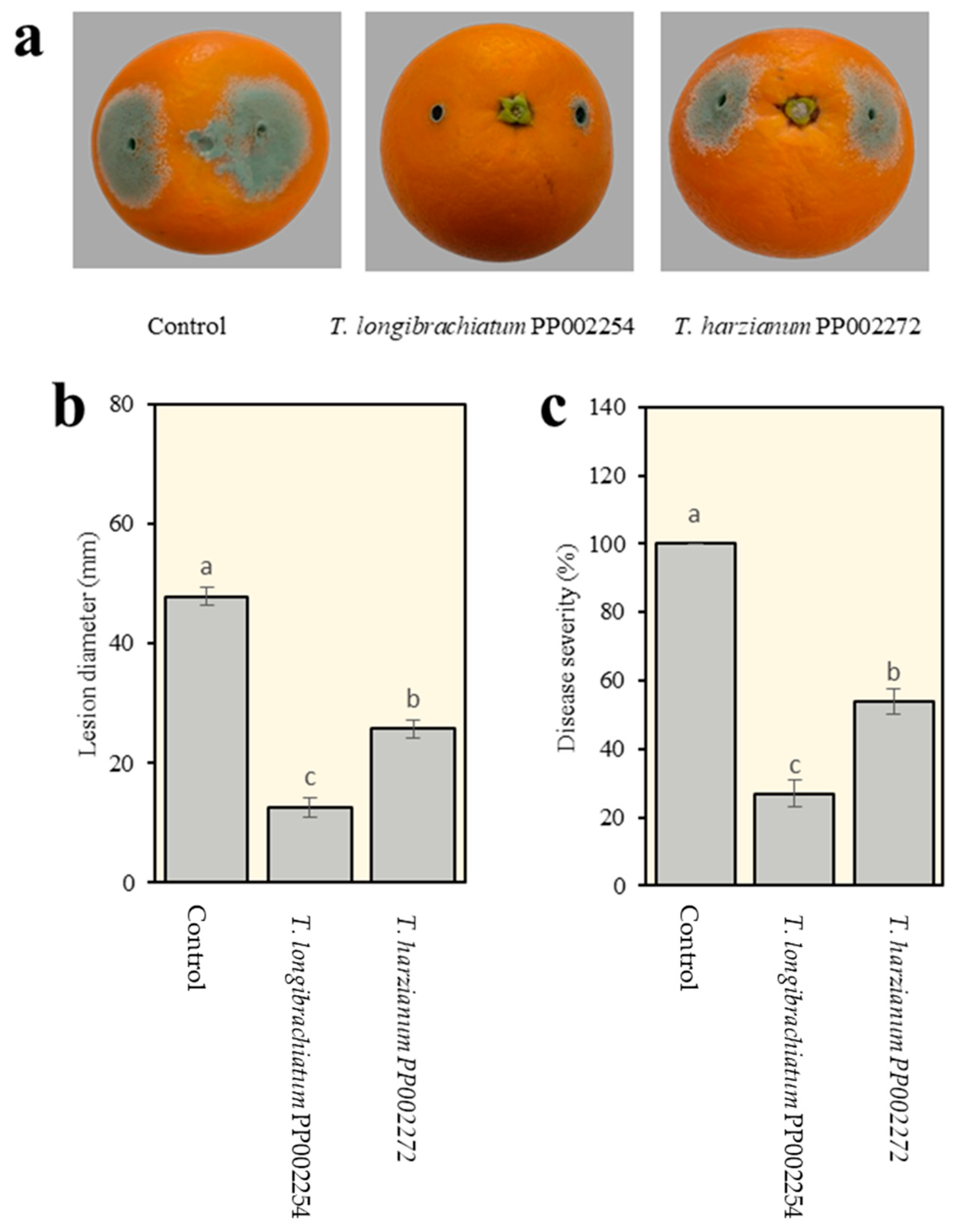 Horticulturae 10 01076 g005
