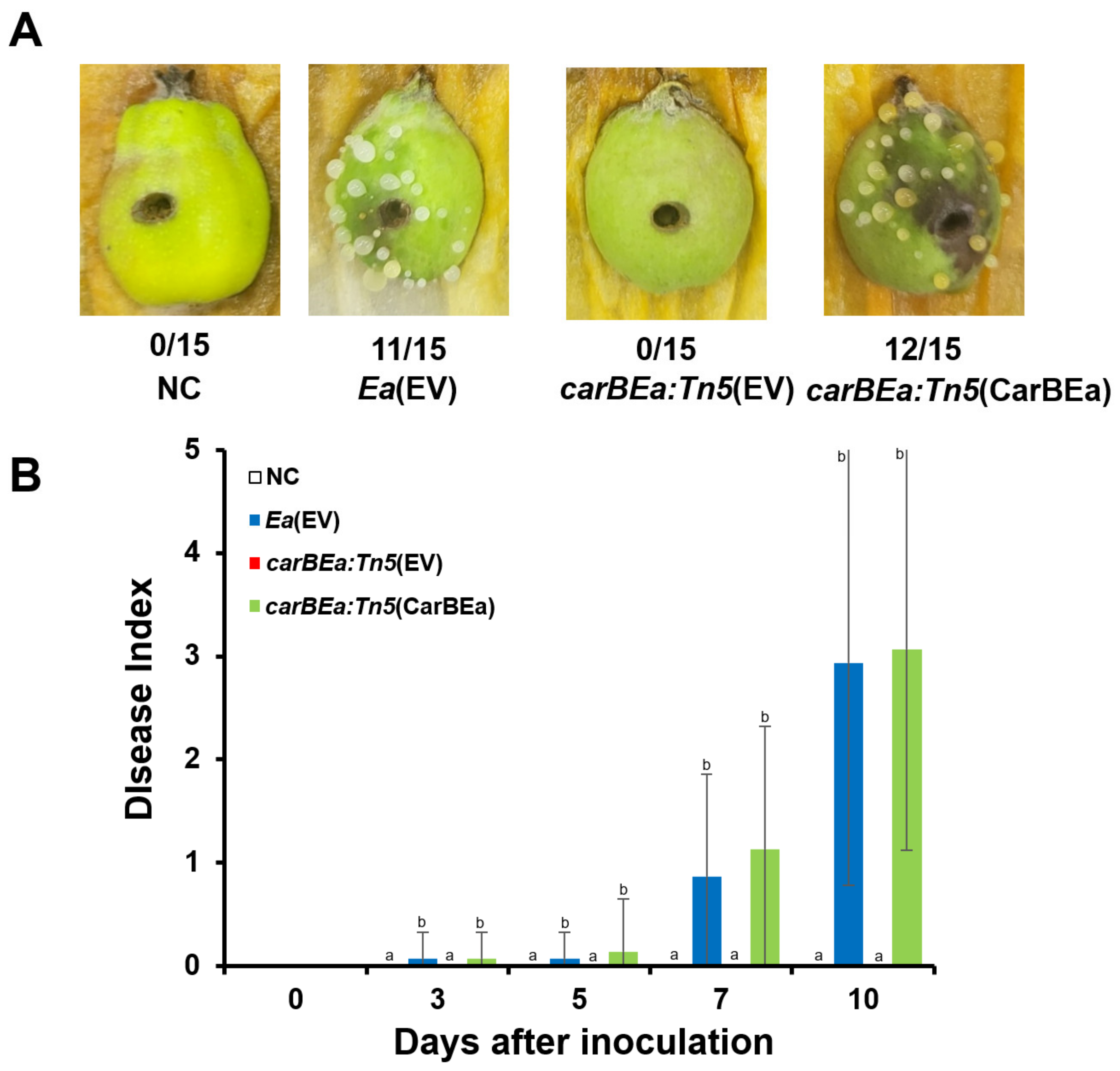 Horticulturae 10 01080 g002 Horticulturae 10 01080 g002