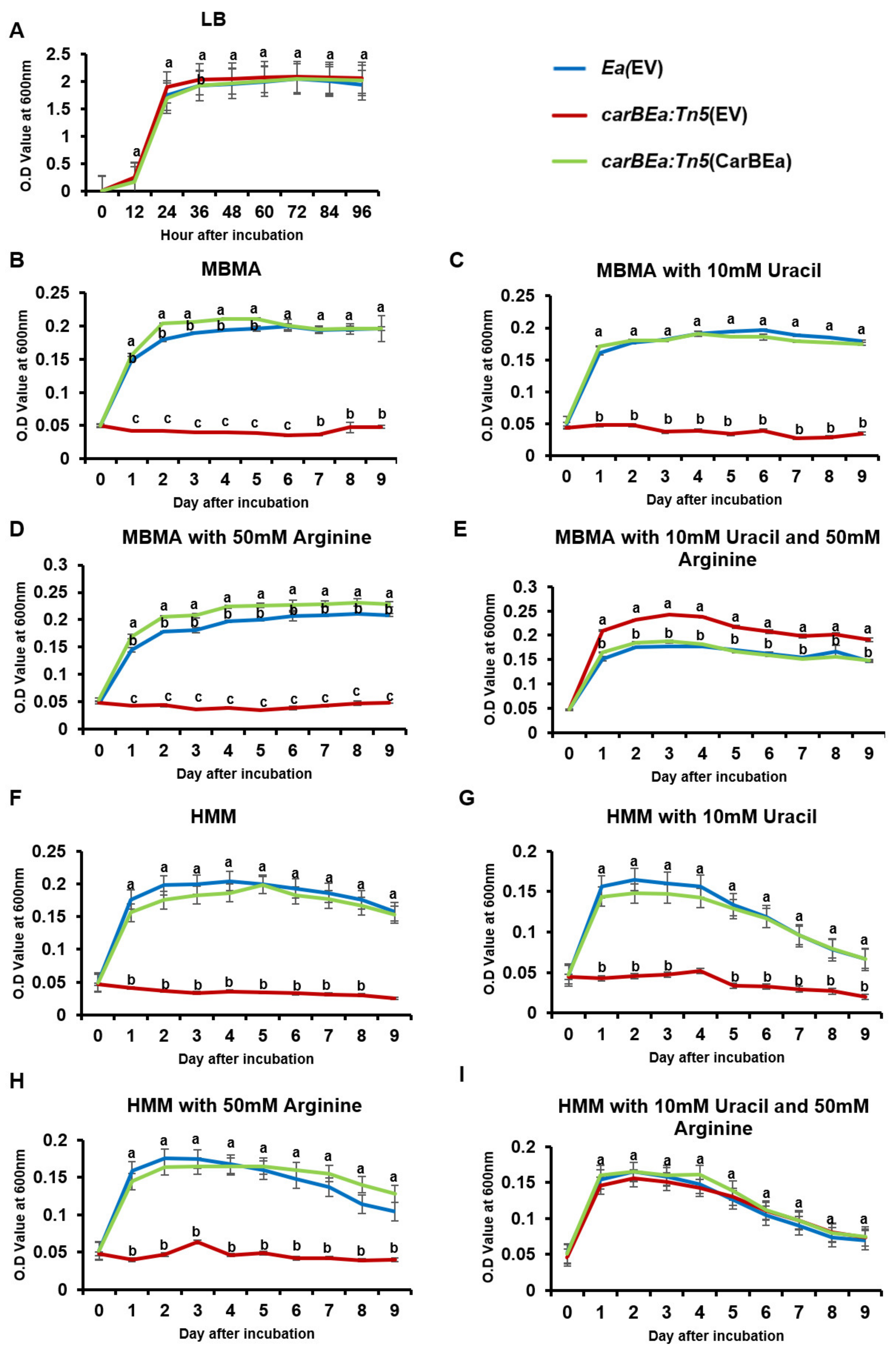Horticulturae 10 01080 g003 Horticulturae 10 01080 g003