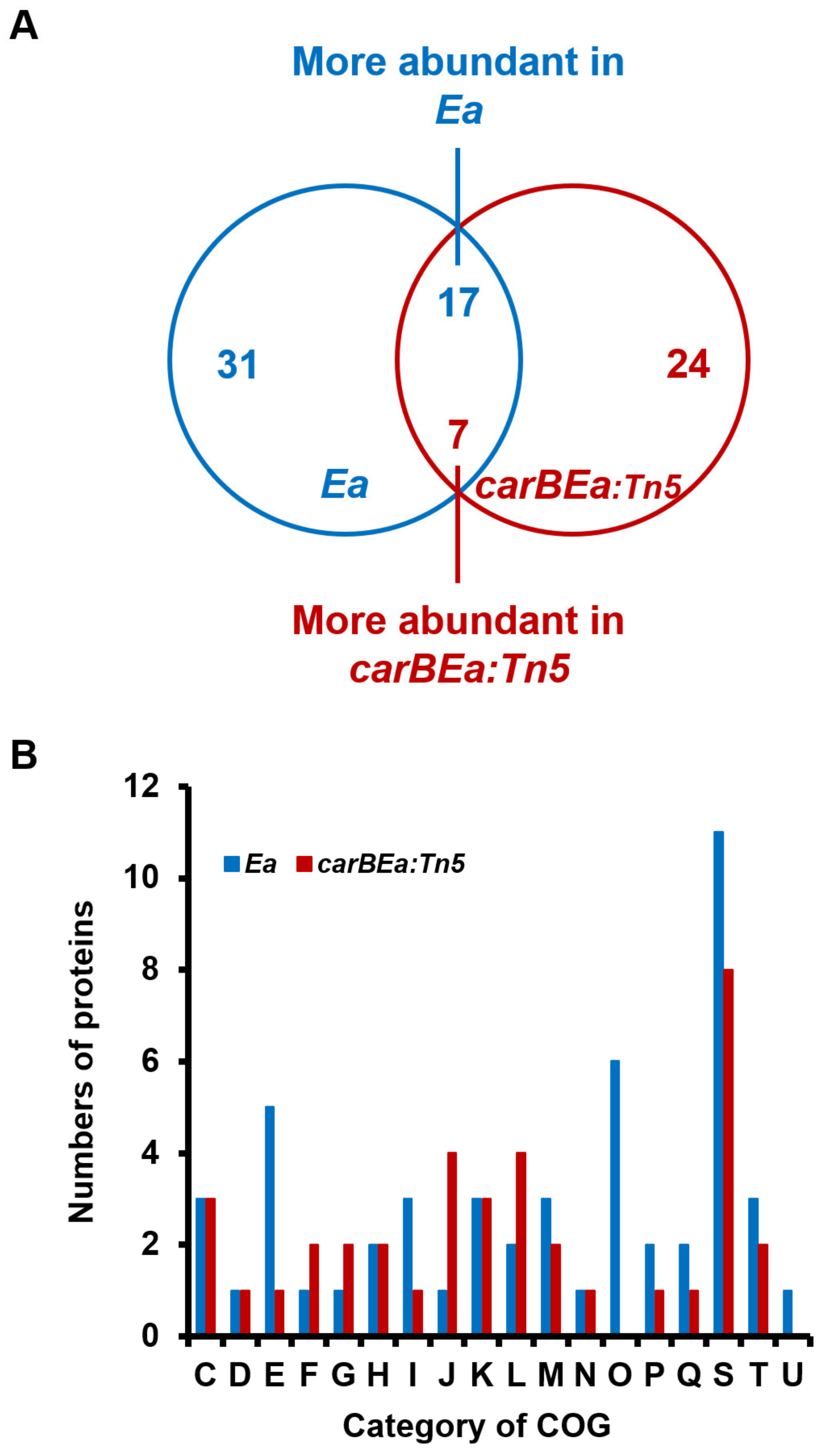 Horticulturae 10 01080 g004 Horticulturae 10 01080 g004