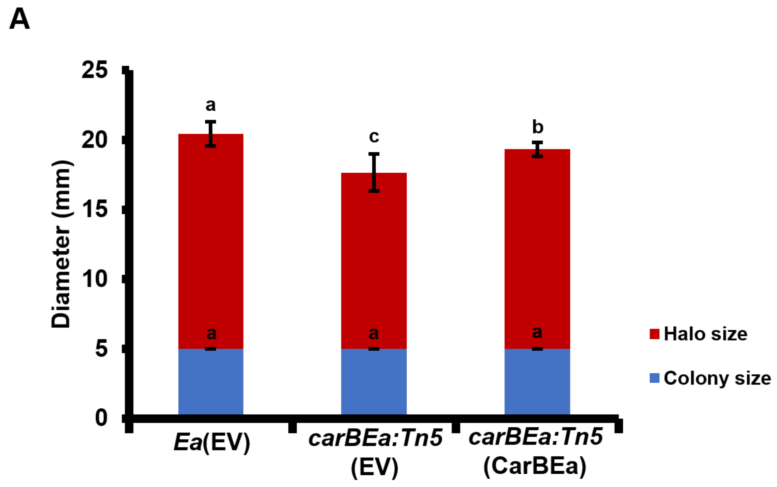 Horticulturae 10 01080 g005a Horticulturae 10 01080 g005a
