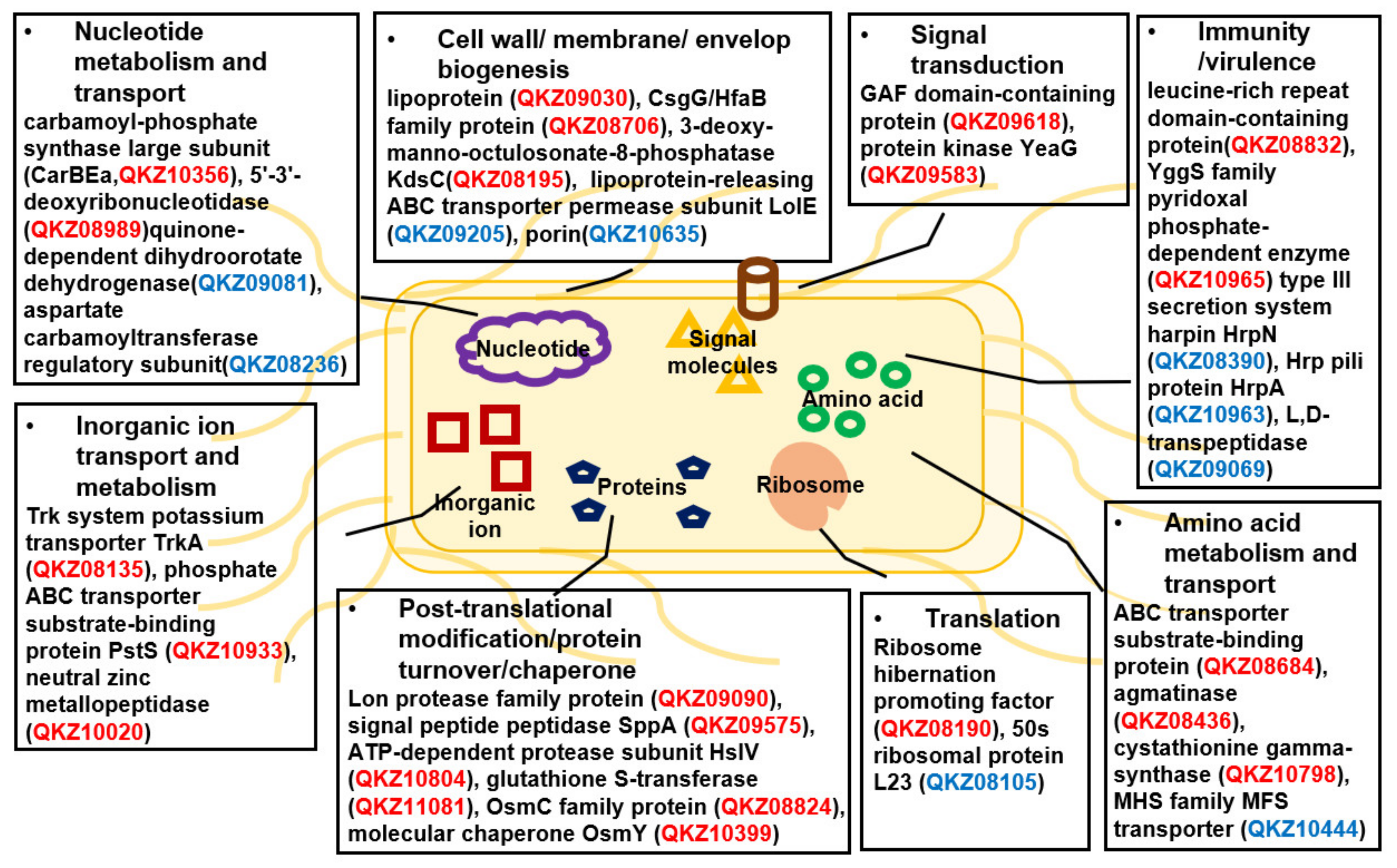 Horticulturae 10 01080 g006 Horticulturae 10 01080 g006