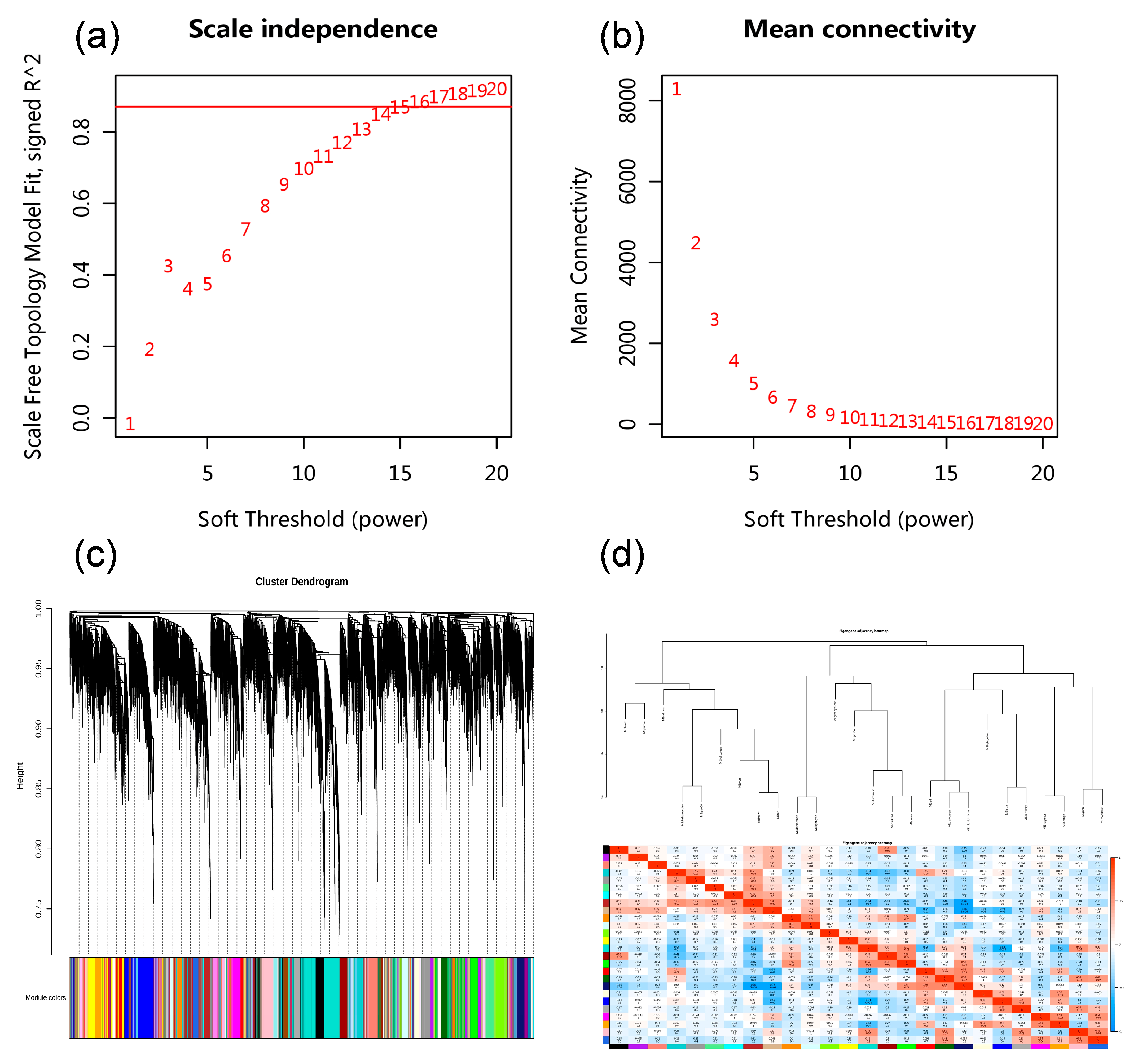 Horticulturae 10 01081 g007