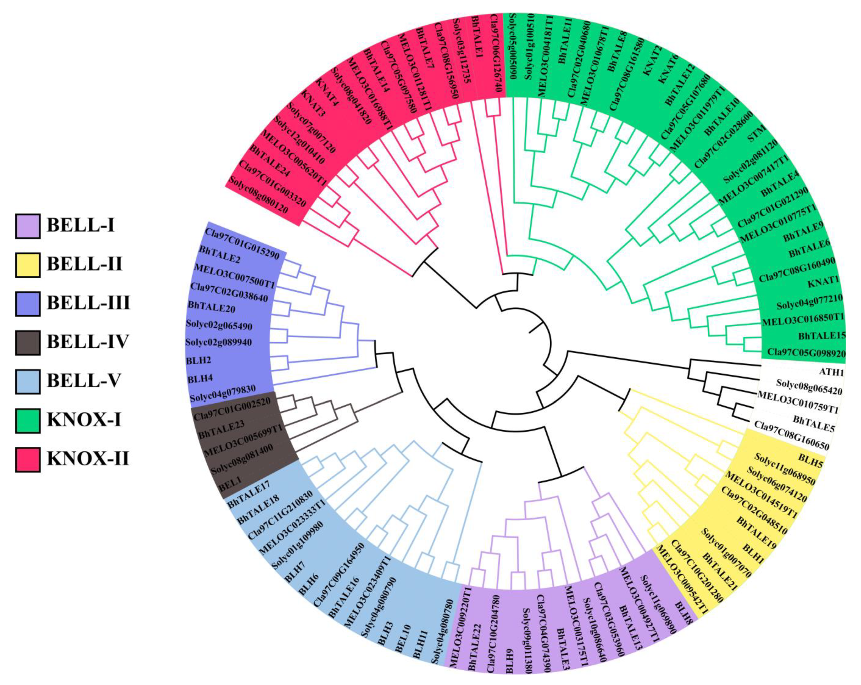 Horticulturae 10 01083 g001