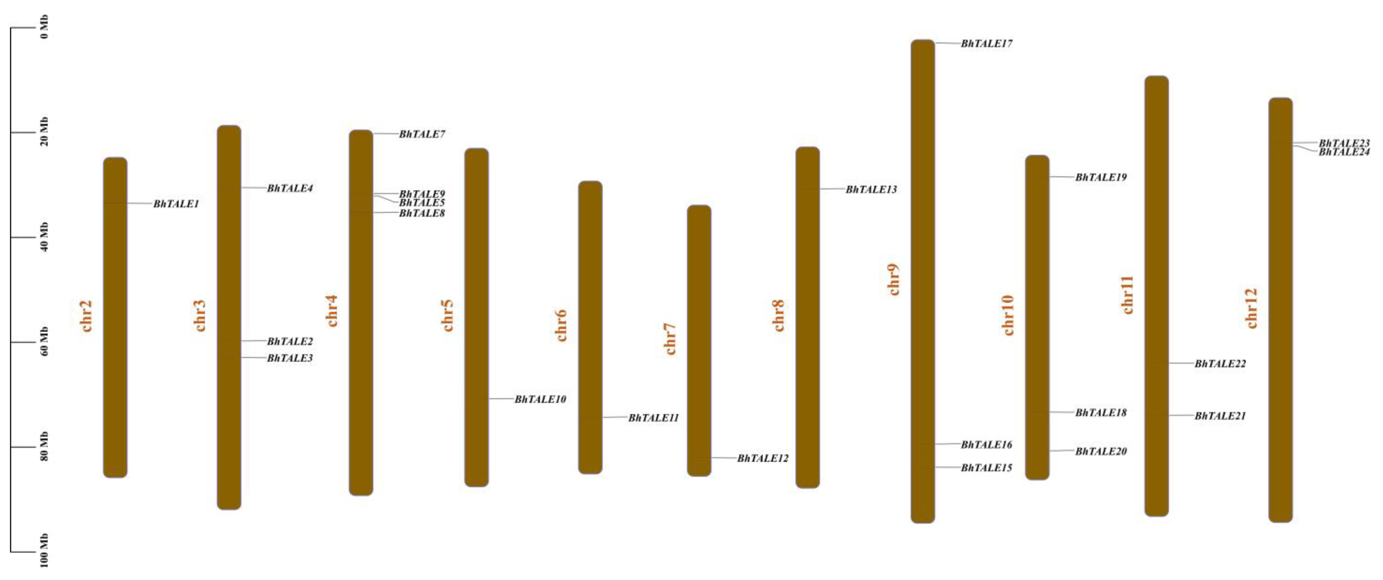 Horticulturae 10 01083 g002