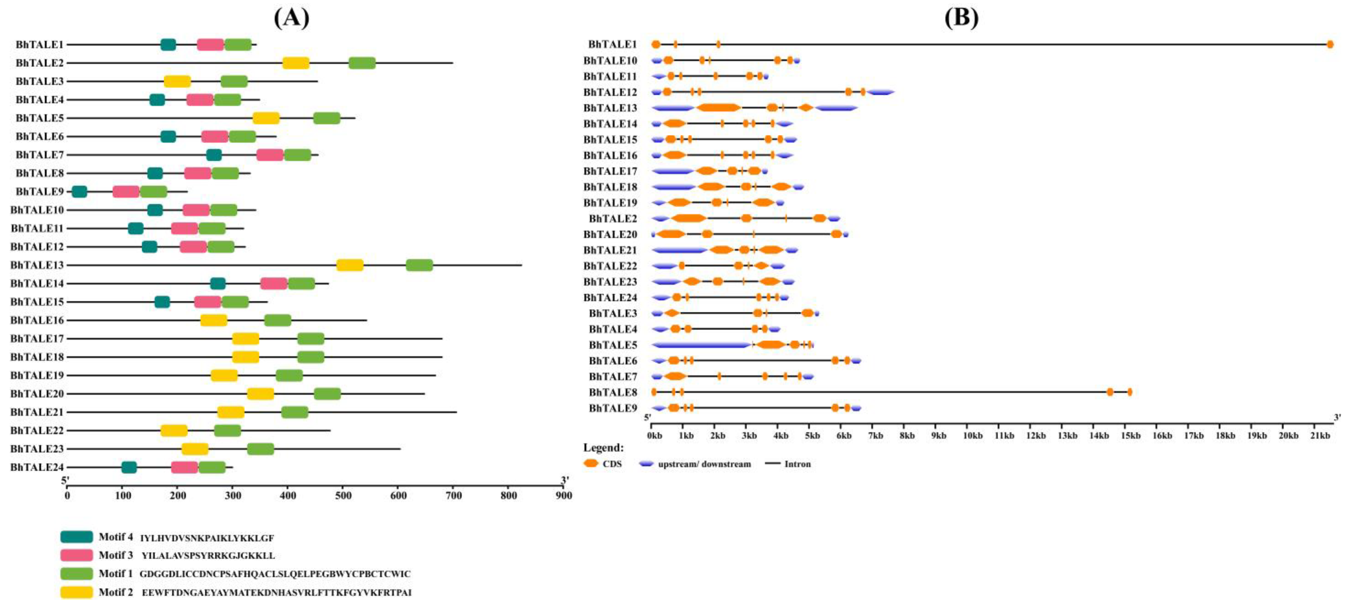 Horticulturae 10 01083 g003