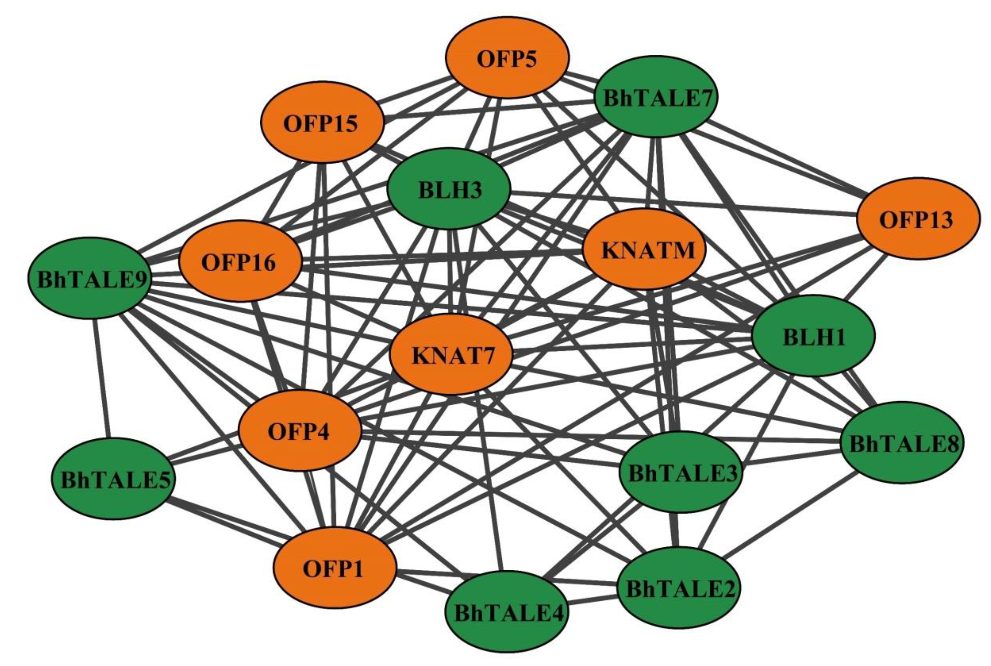 Horticulturae 10 01083 g006
