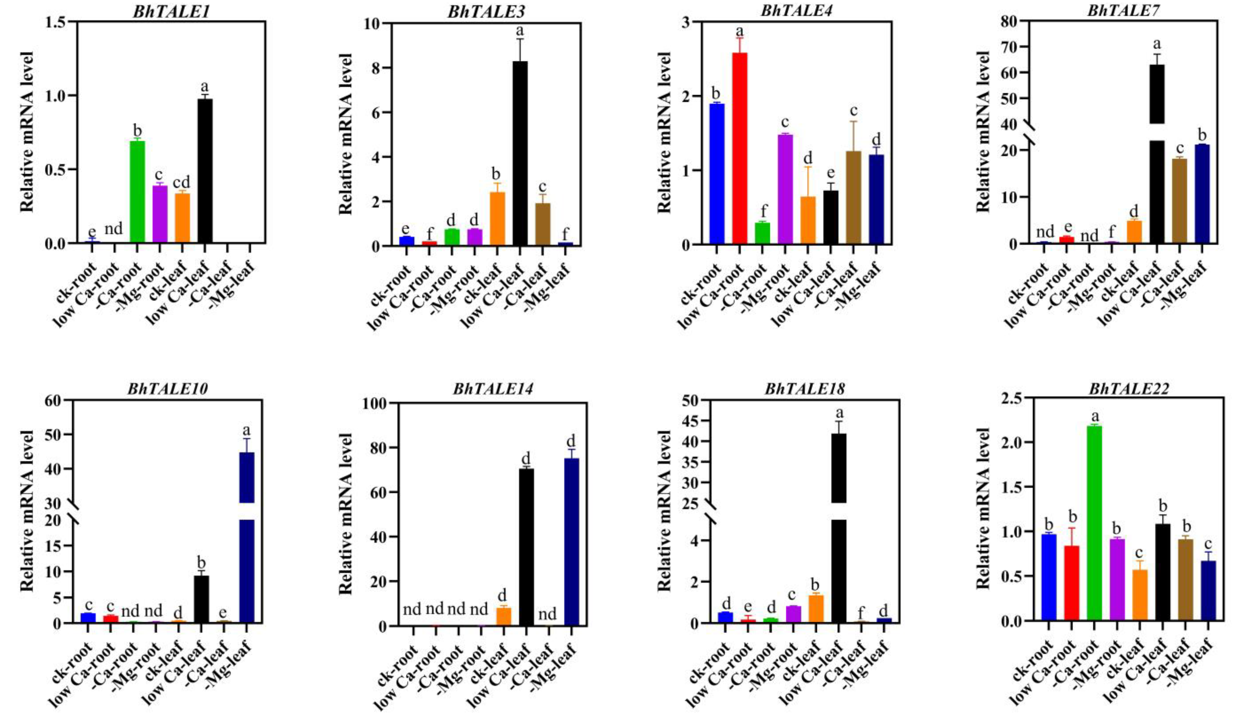 Horticulturae 10 01083 g008