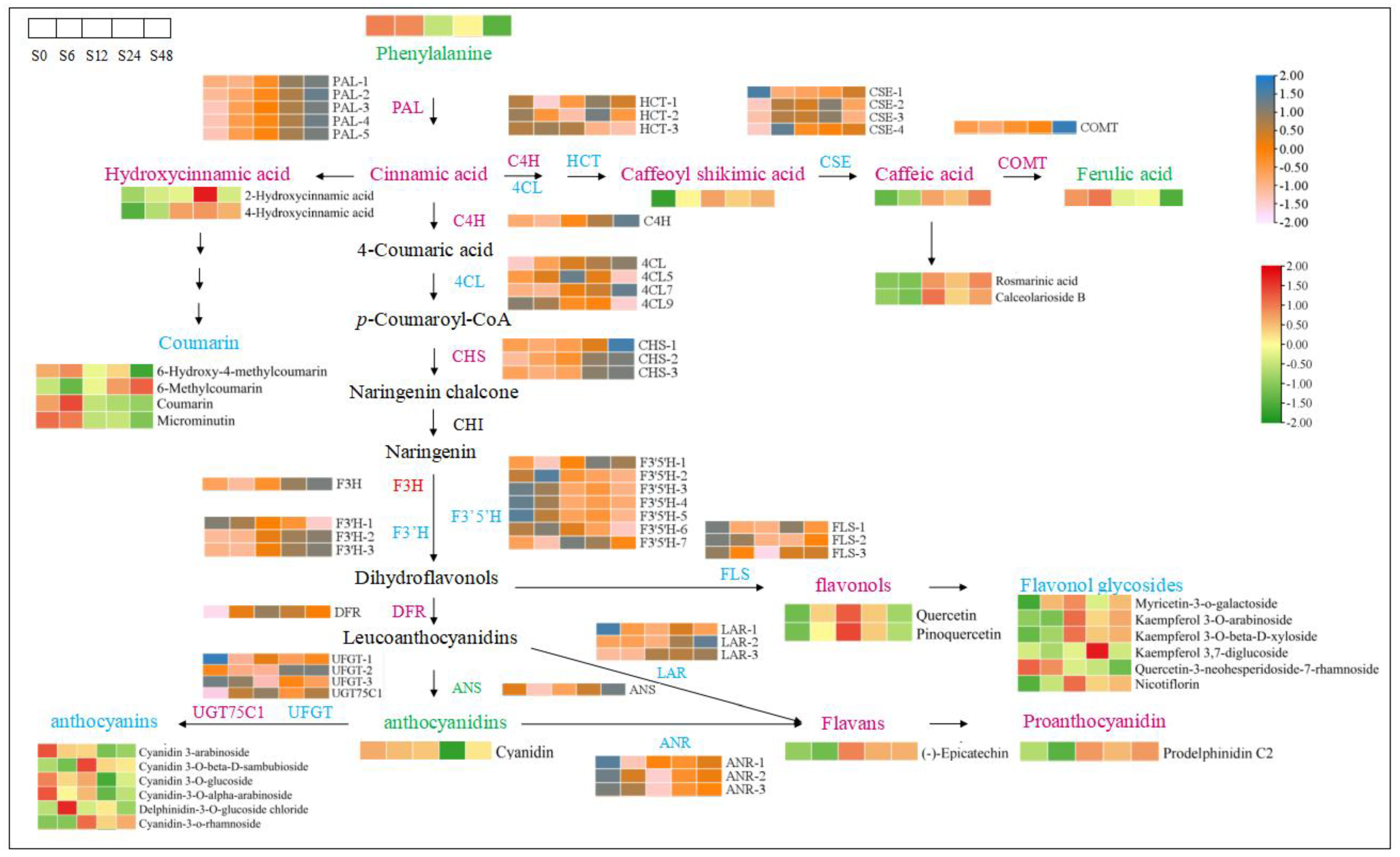 Horticulturae 10 01084 g007