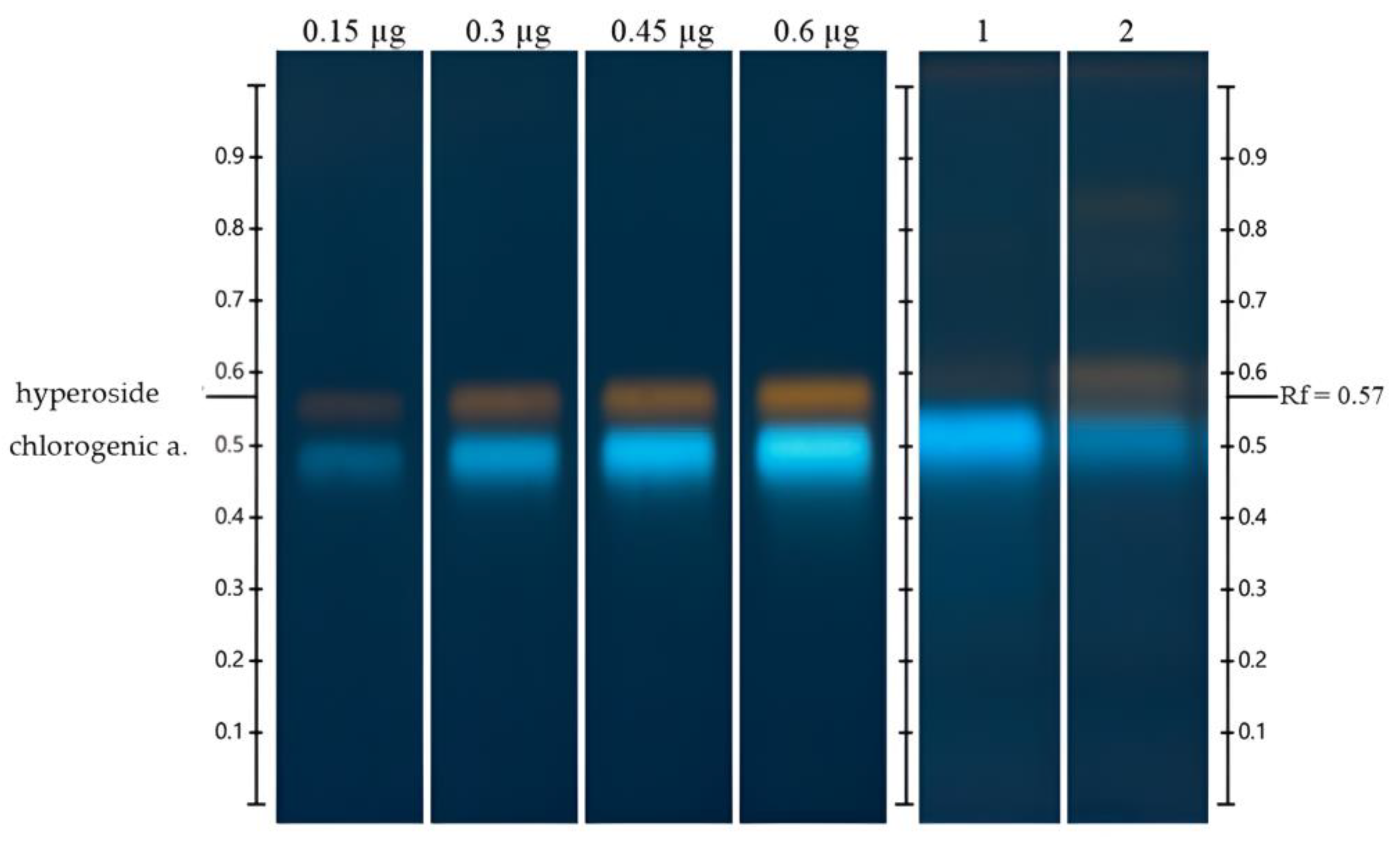 Horticulturae 10 01091 g002