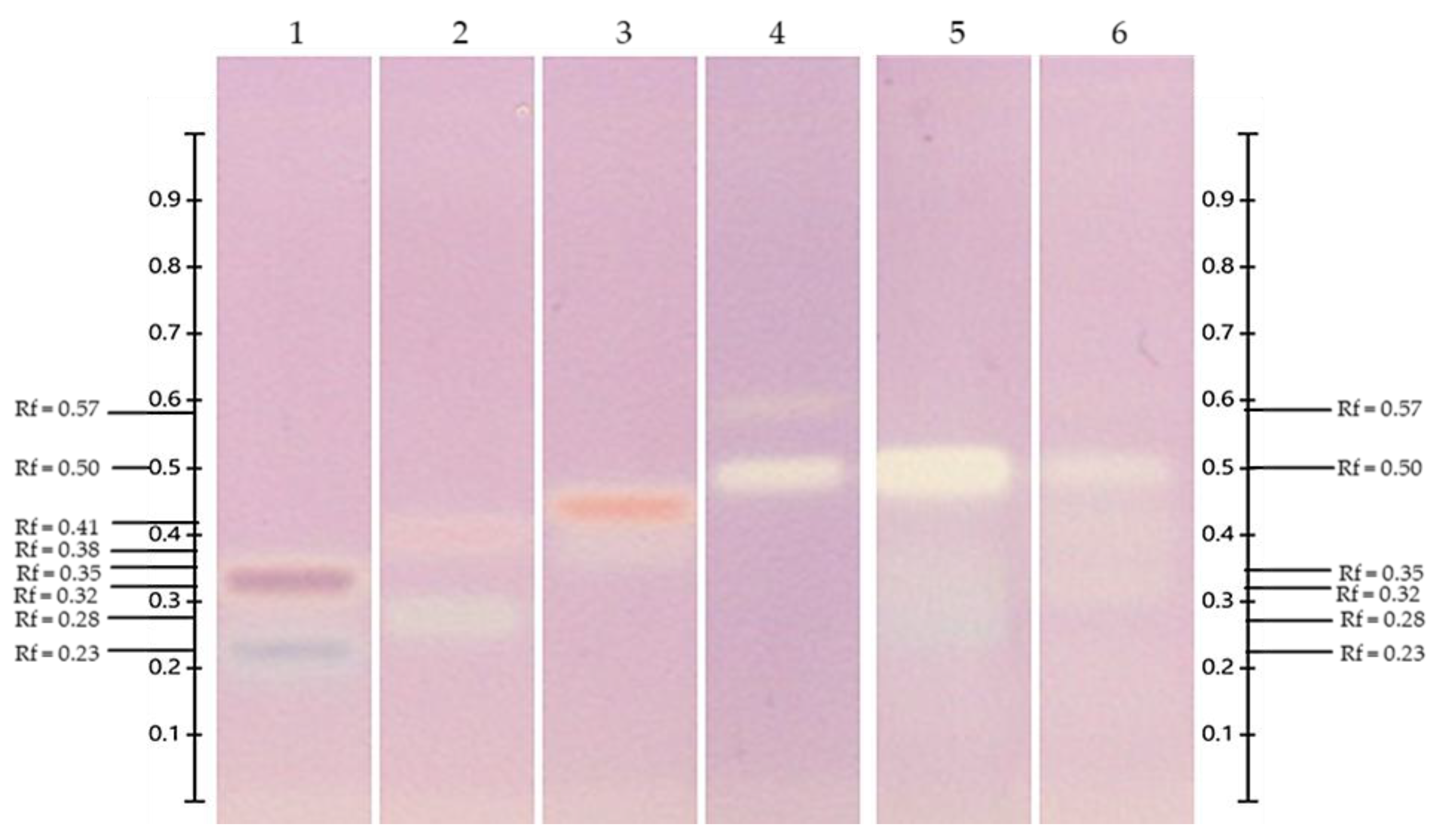 Horticulturae 10 01091 g004