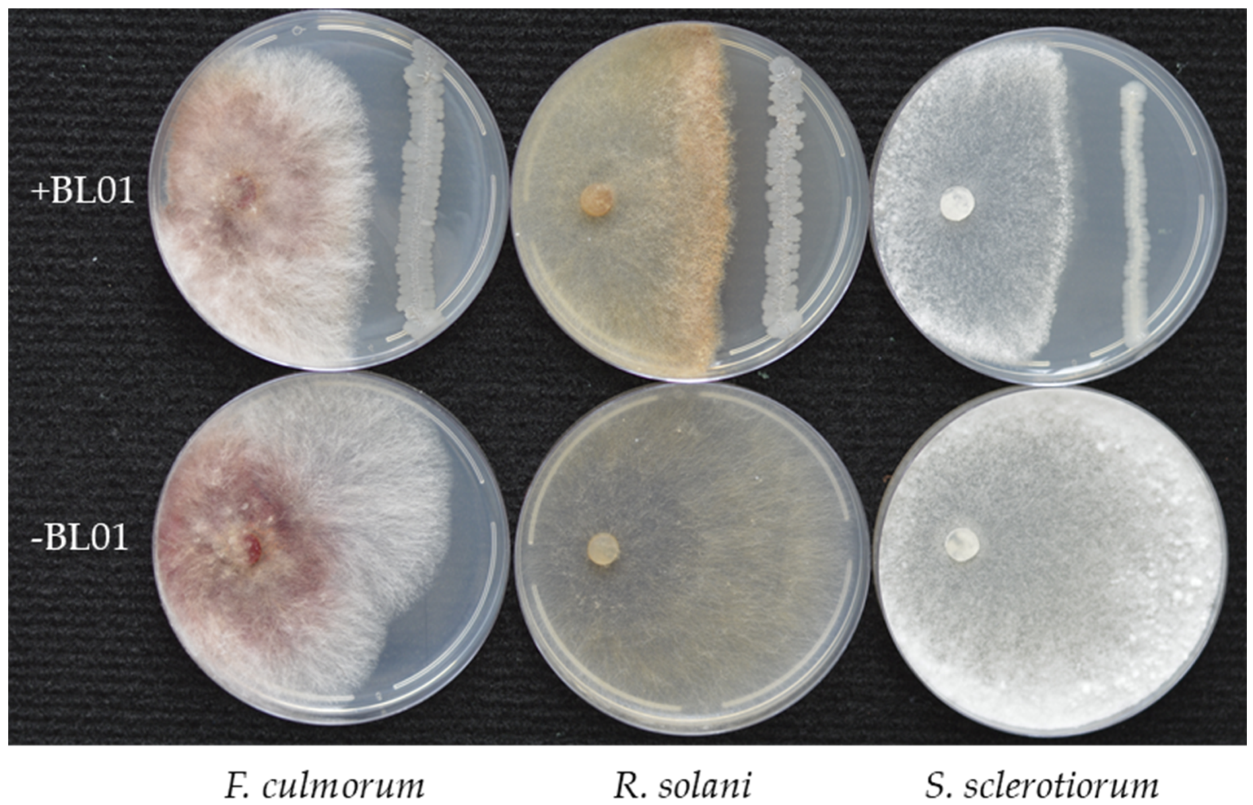 Horticulturae 10 01095 g005