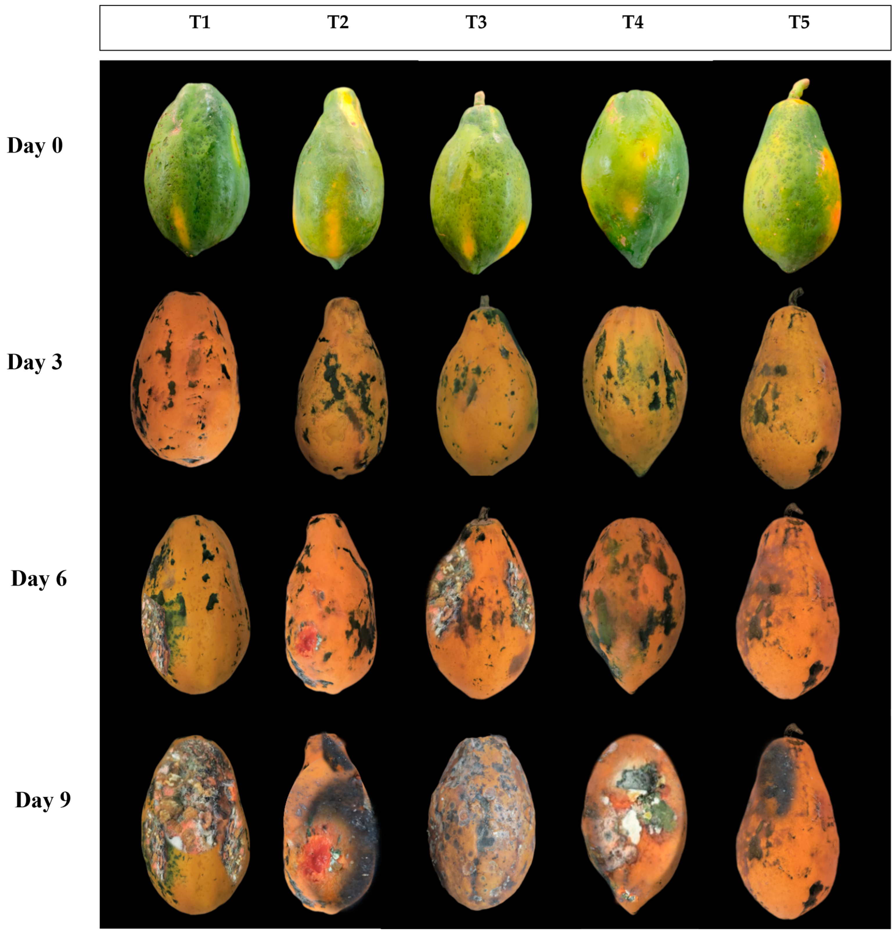 Horticulturae 10 01099 g006
