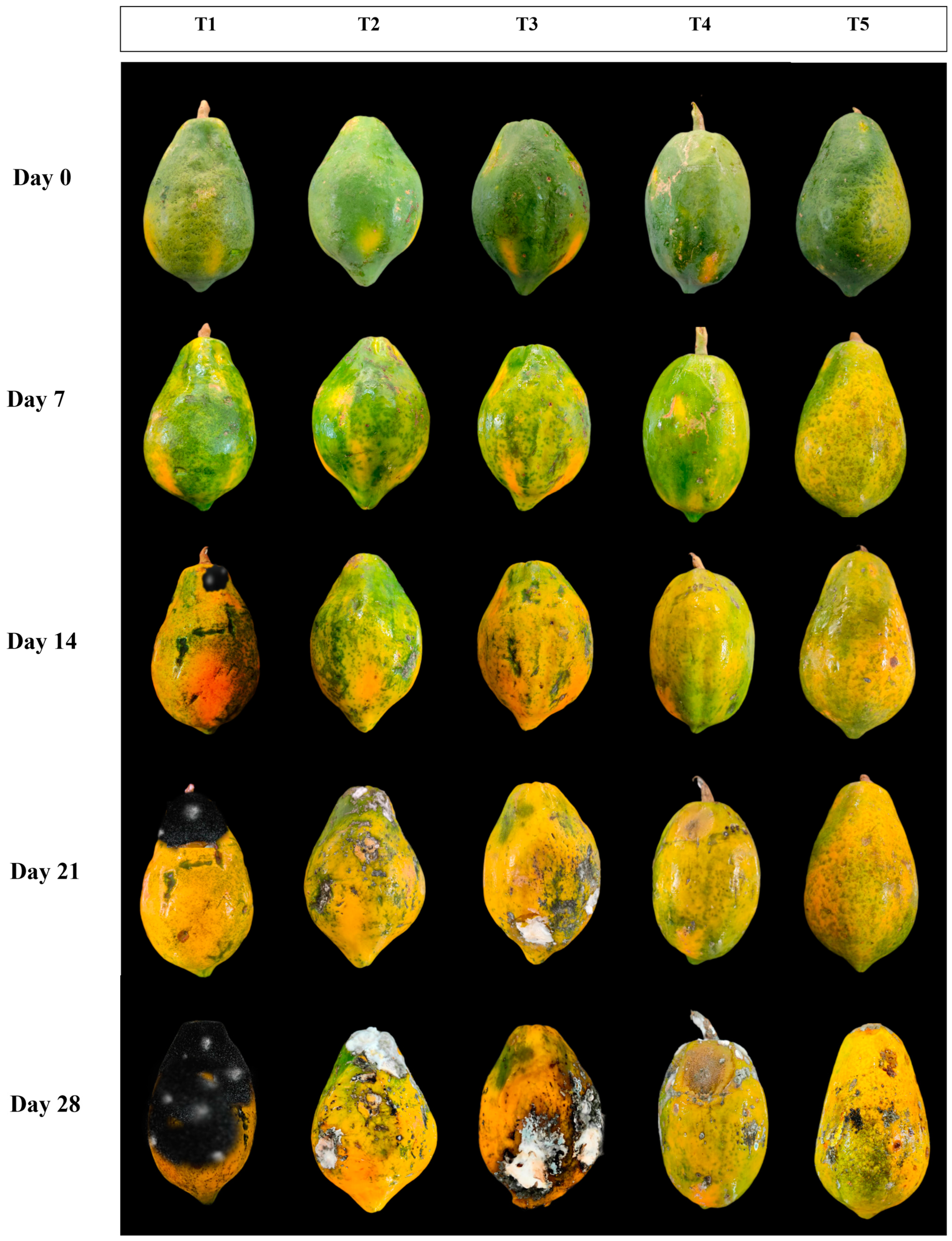Horticulturae 10 01099 g007