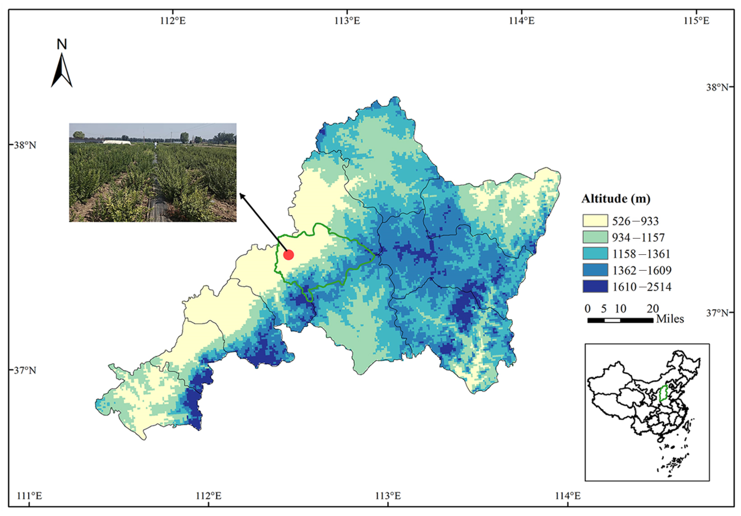 Horticulturae 10 01102 g001
