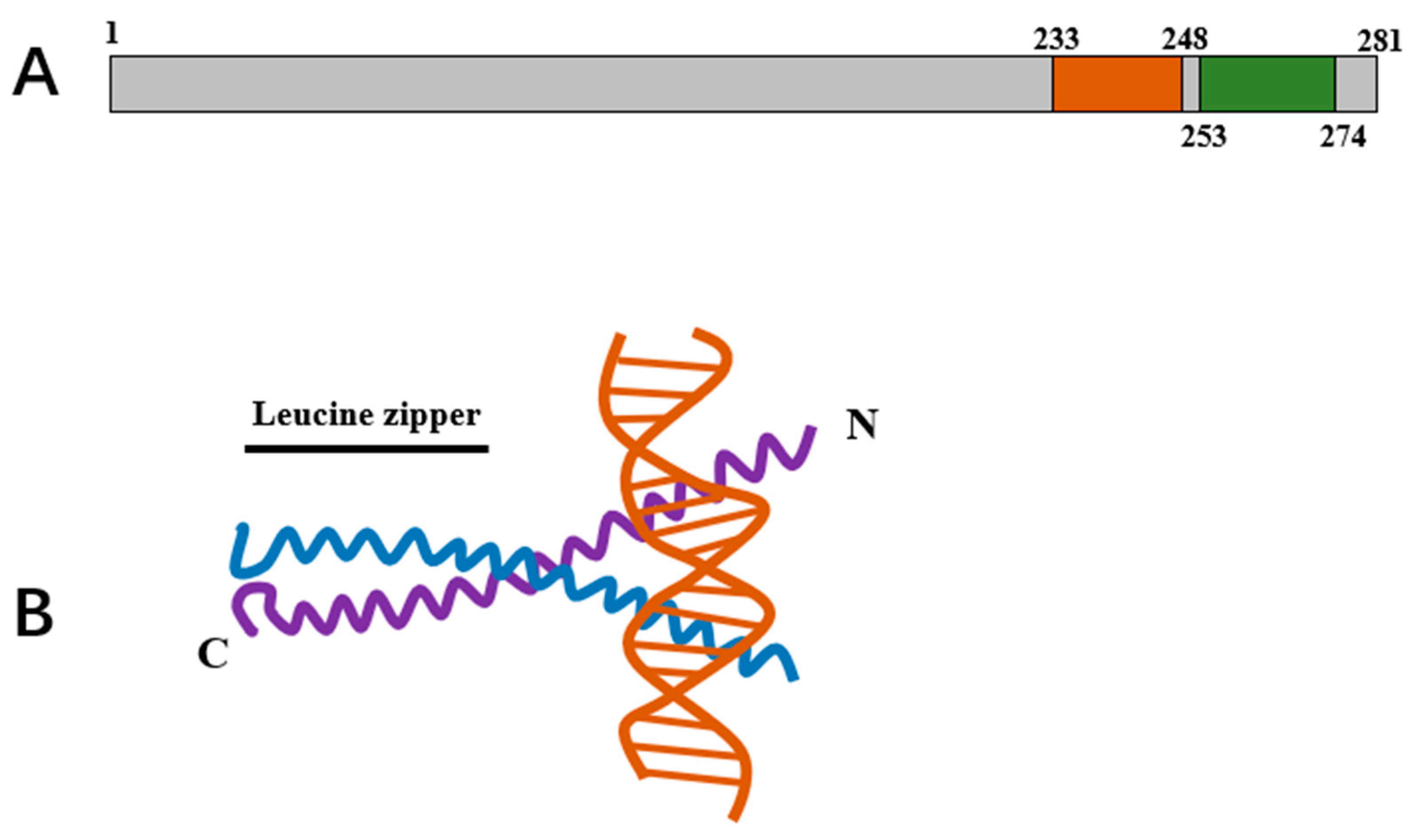Horticulturae 10 01113 g002
