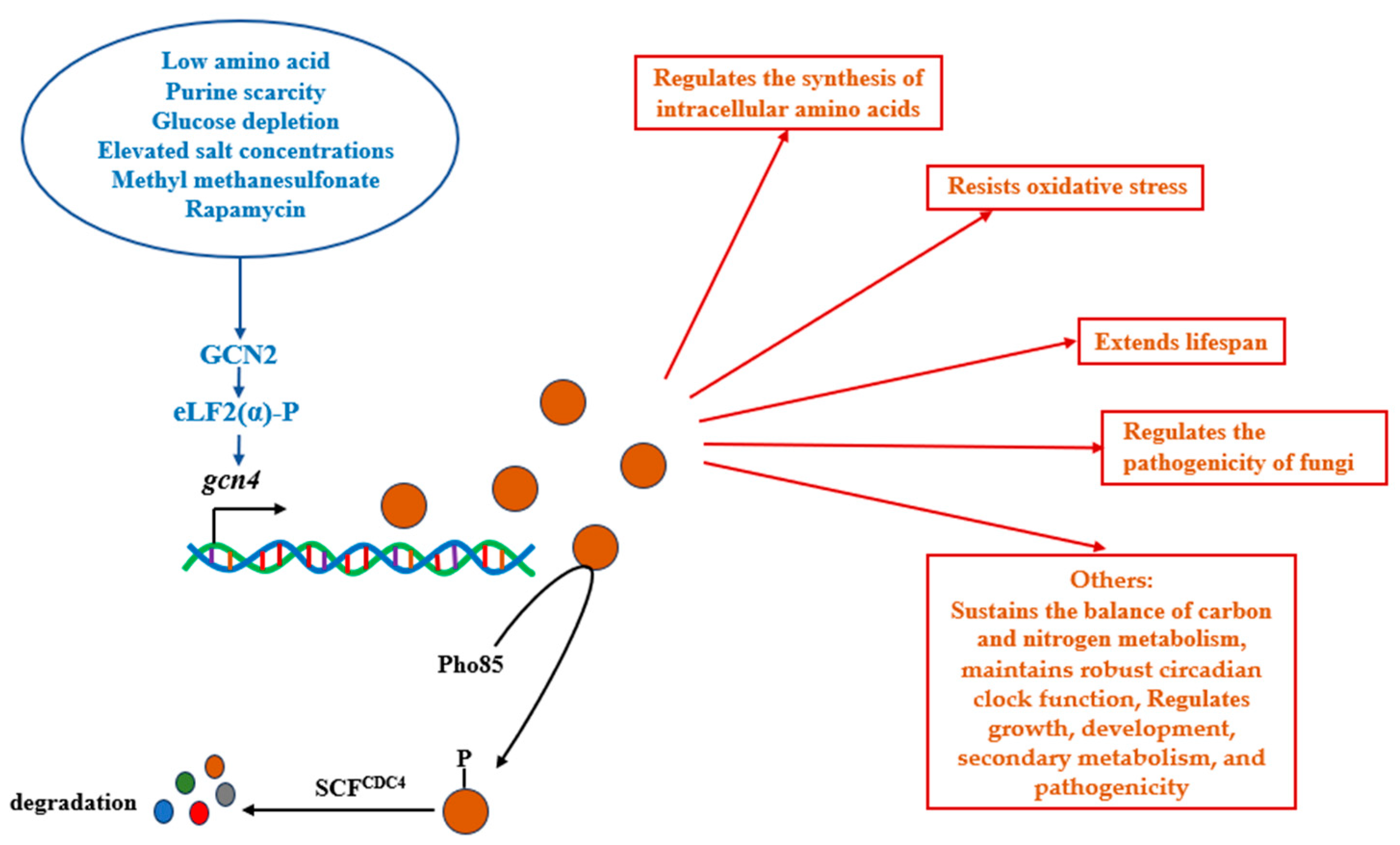 Horticulturae 10 01113 g003