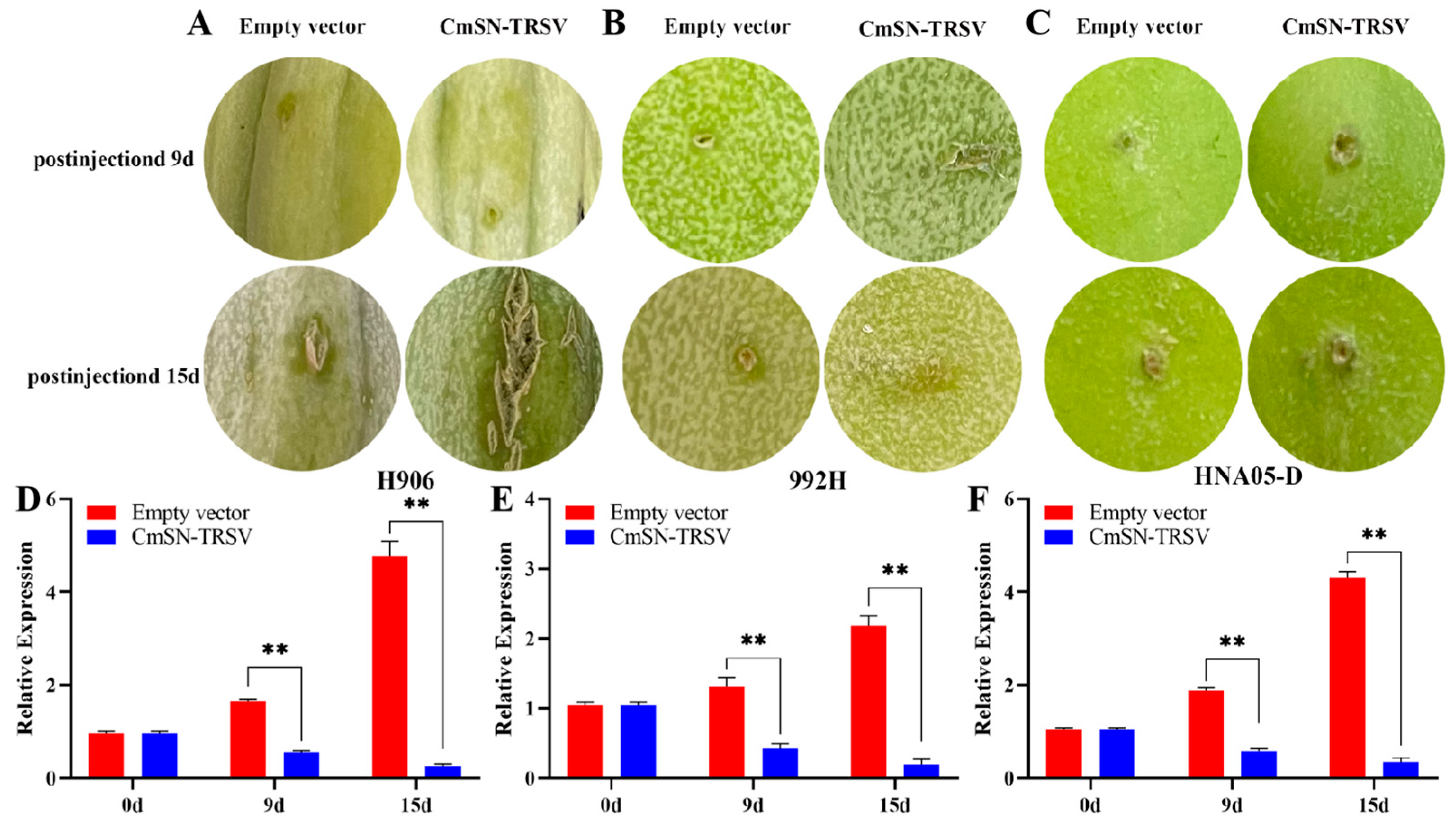 Horticulturae 10 01115 g004
