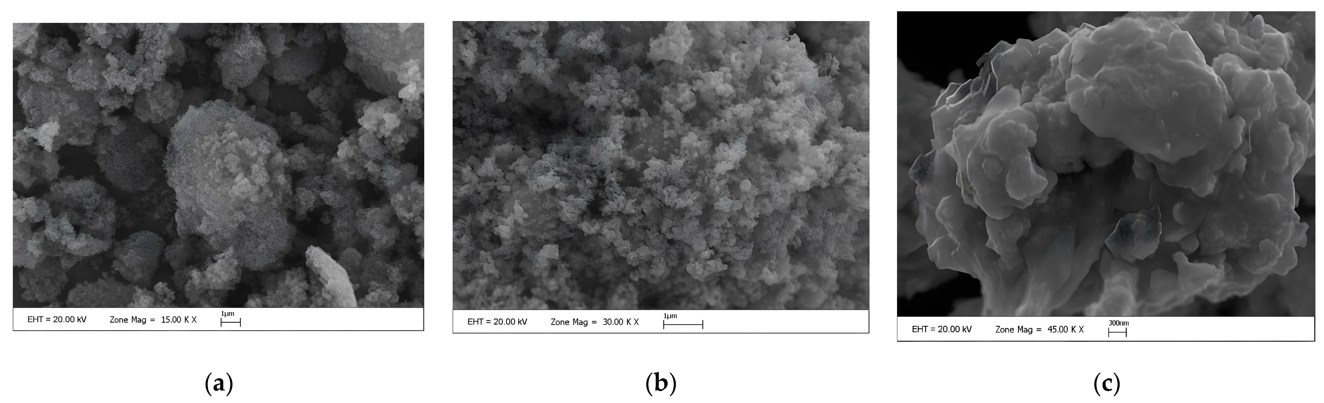 Horticulturae 10 01118 g001
