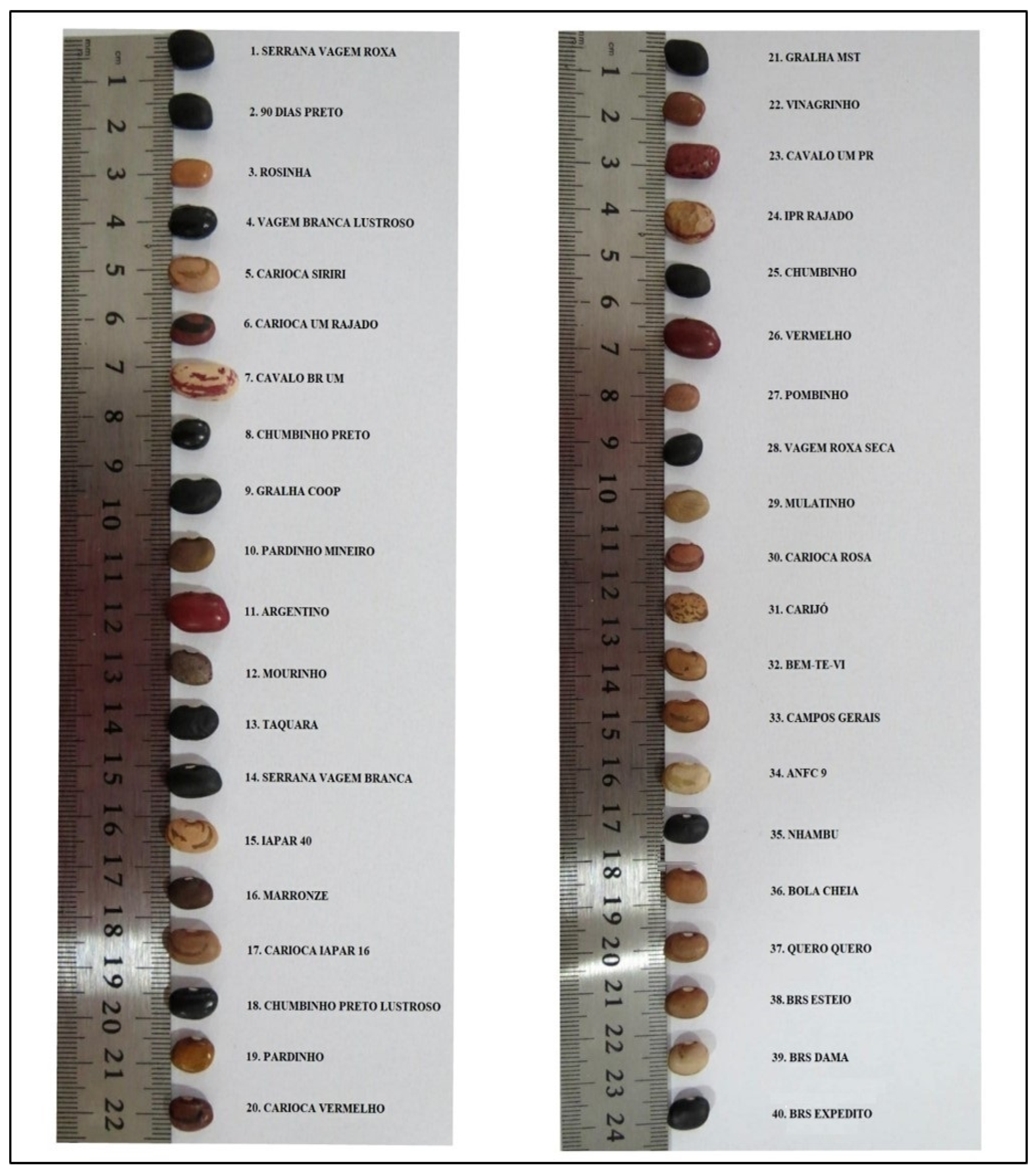 Horticulturae 10 01123 g001 Horticulturae 10 01123 g001