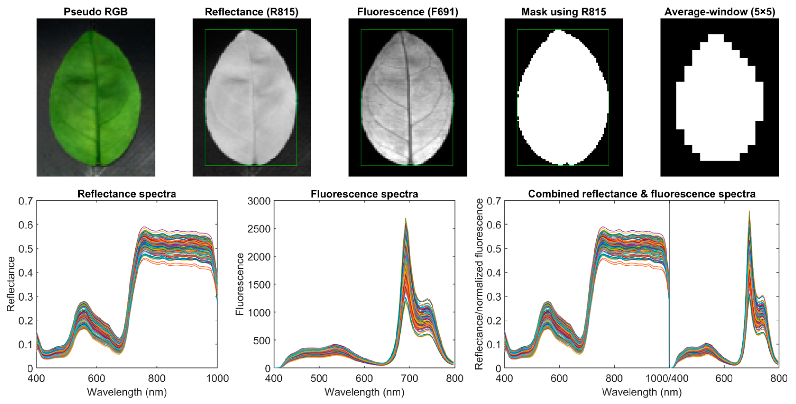 Horticulturae 10 01124 g005
