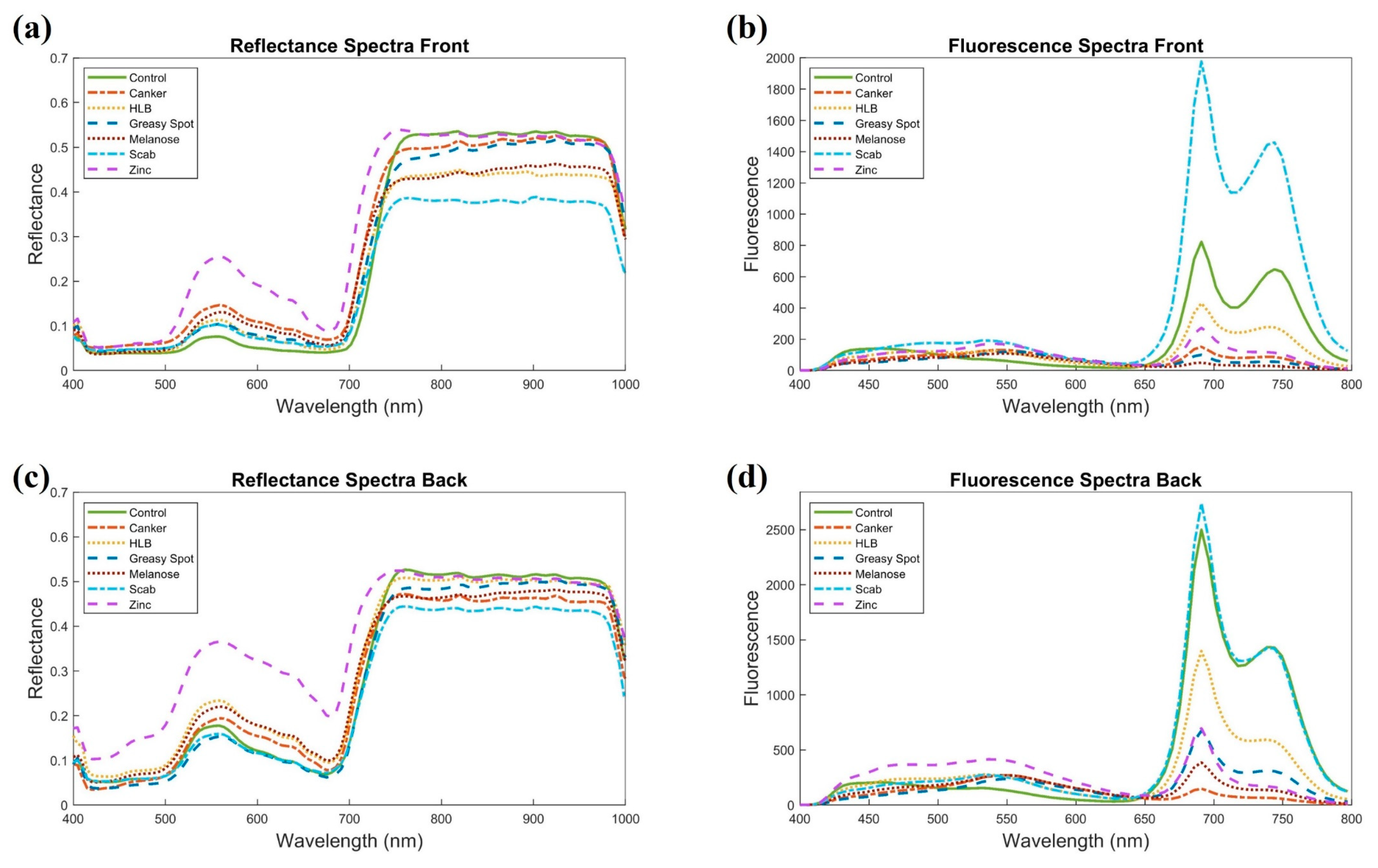 Horticulturae 10 01124 g006