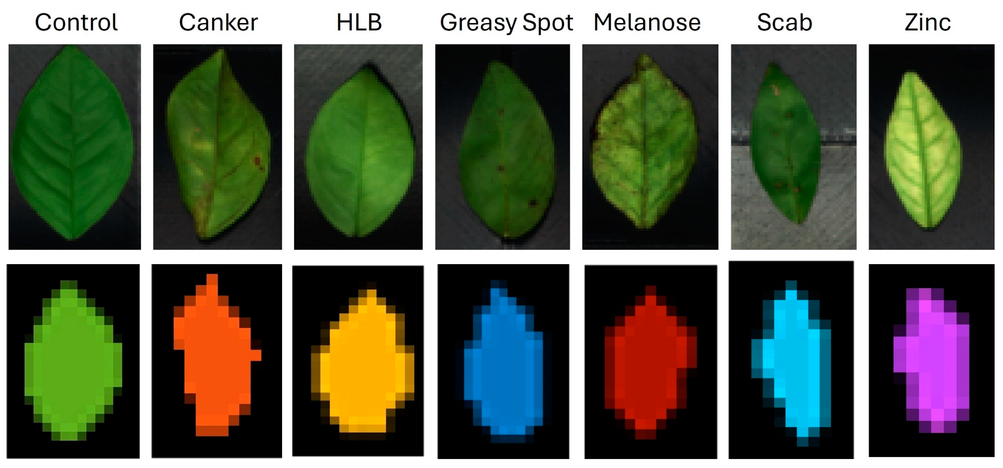 Horticulturae 10 01124 g011